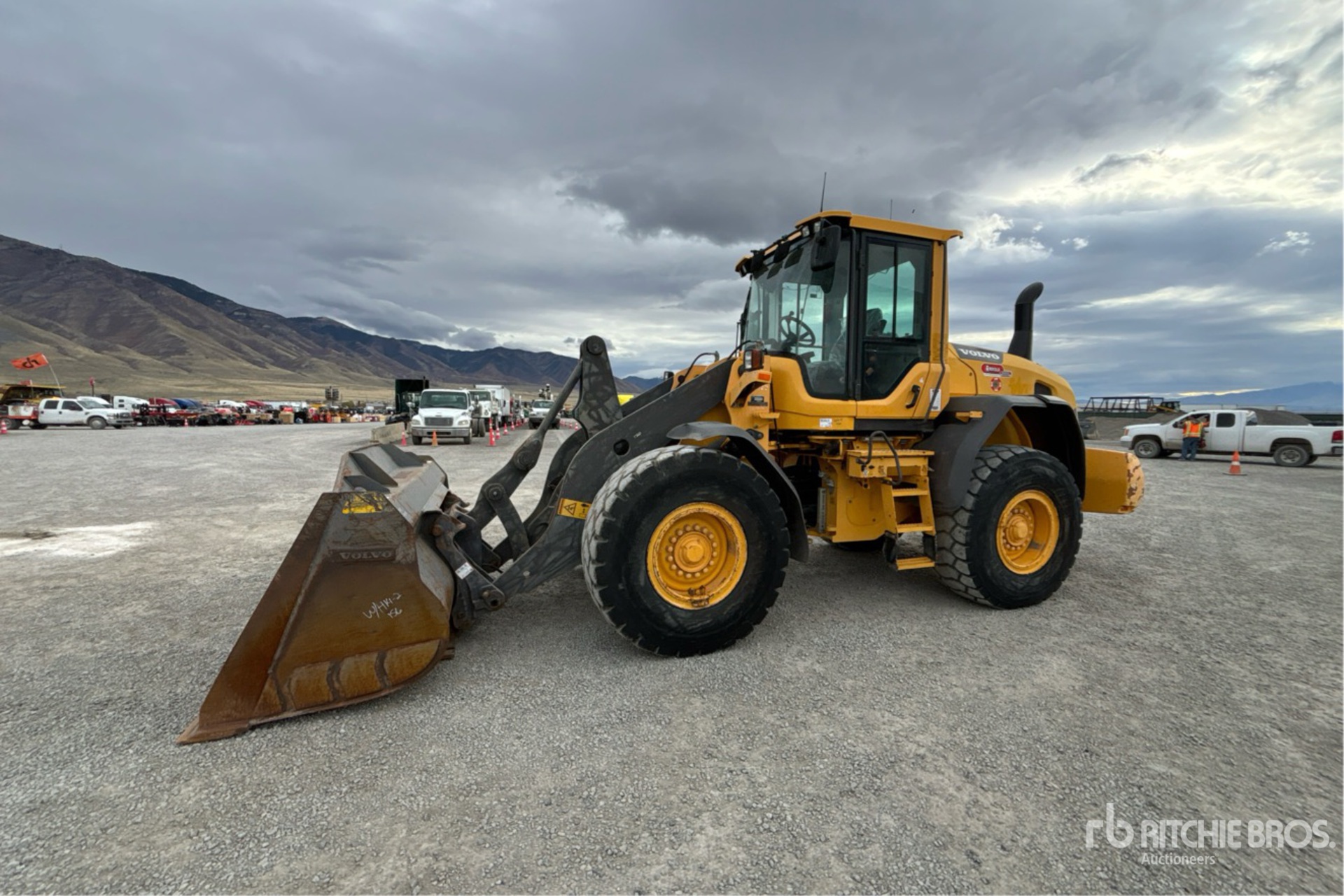 General Appearance with Spin