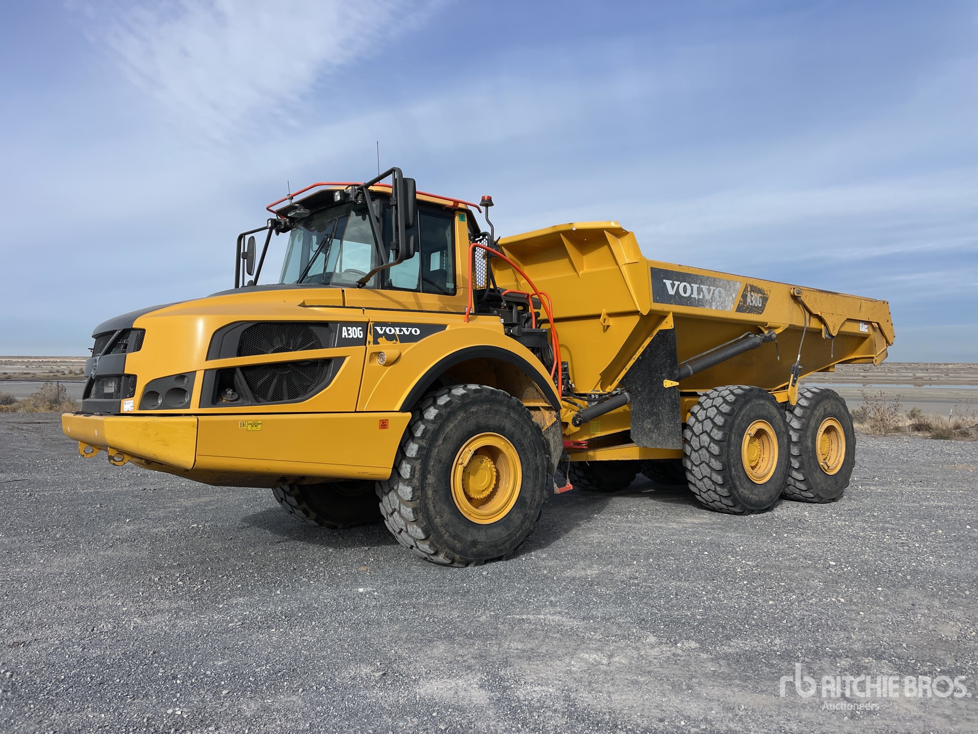 General Appearance with Spin