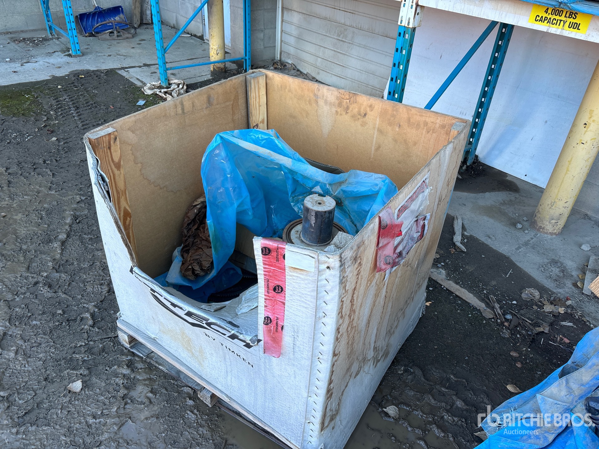 General Appearance with Foto, angolo anteriore sinistro