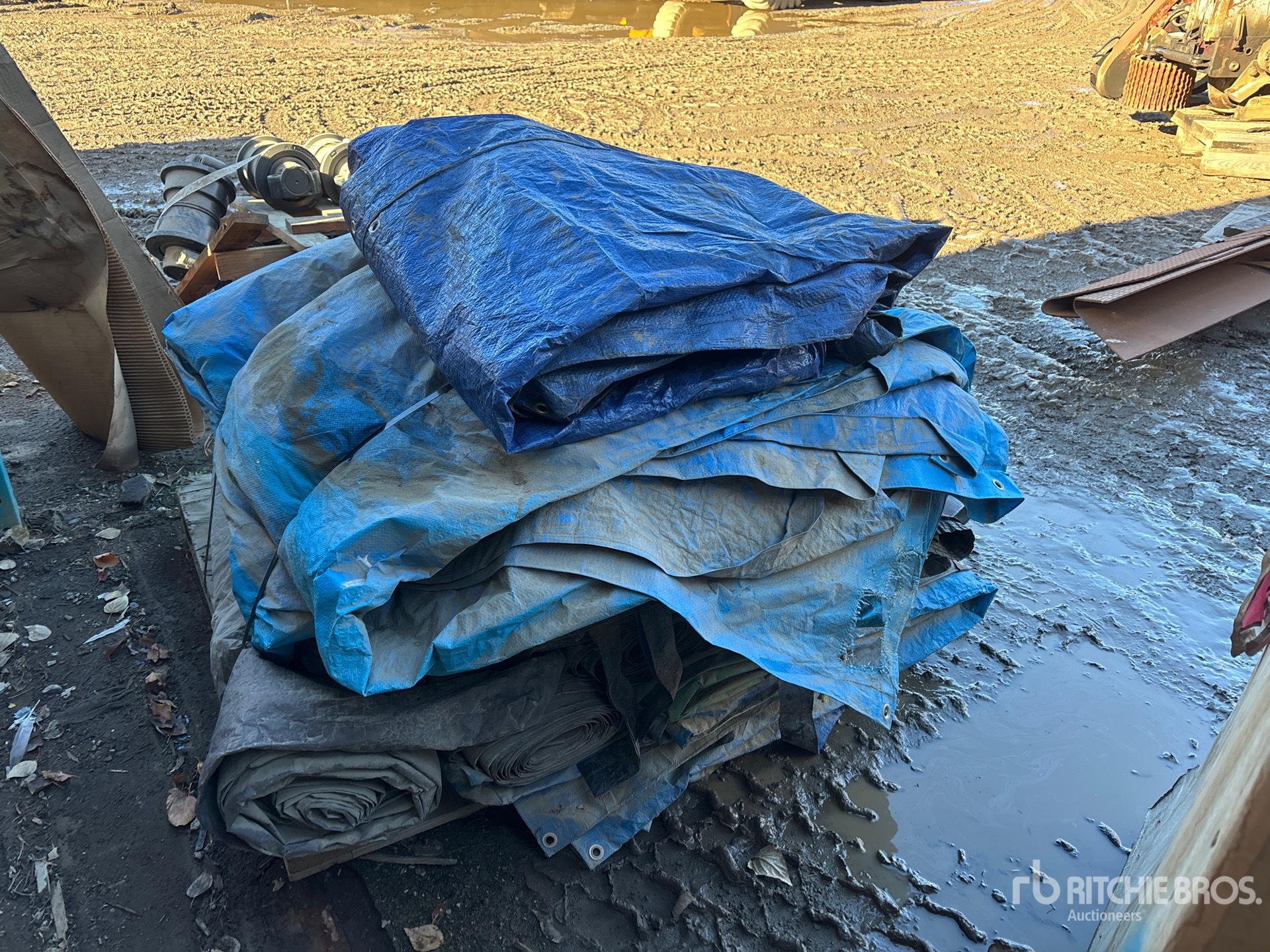 General Appearance with Imagen: esquina trasera derecha