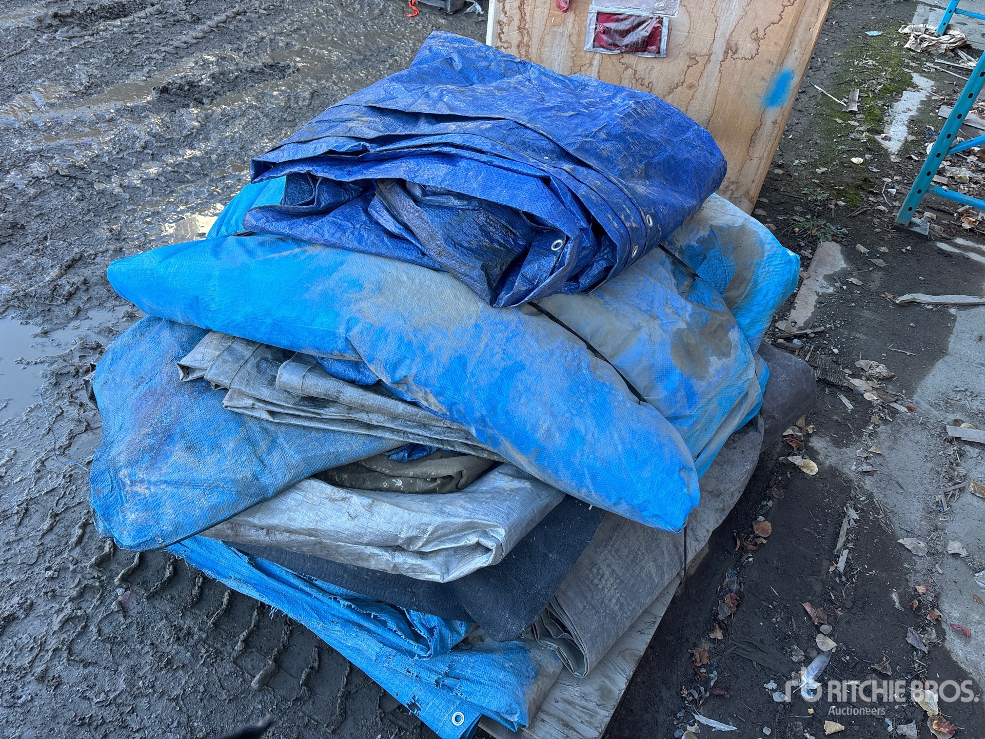 General Appearance with Imagen: esquina trasera izquierda