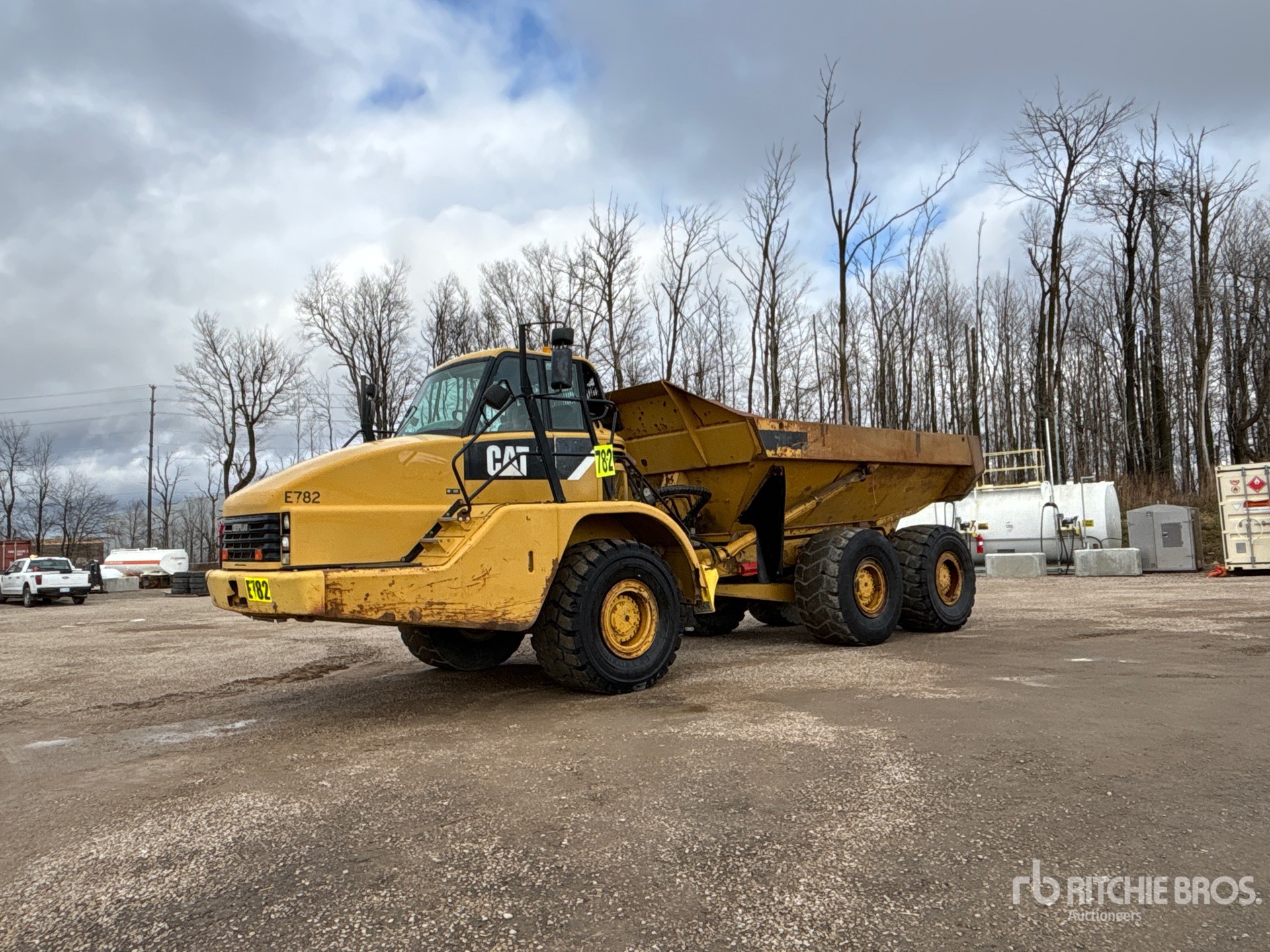 General Appearance with Spin