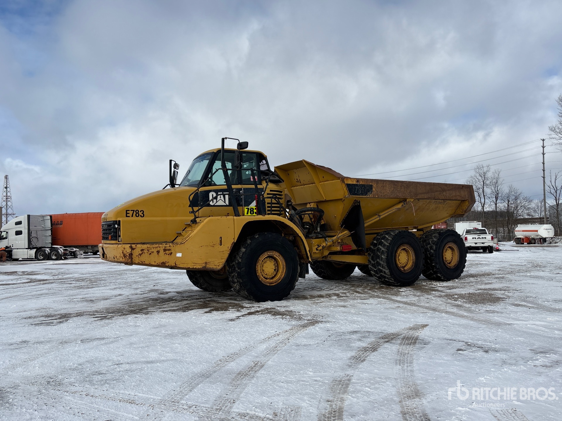 General Appearance with Spin