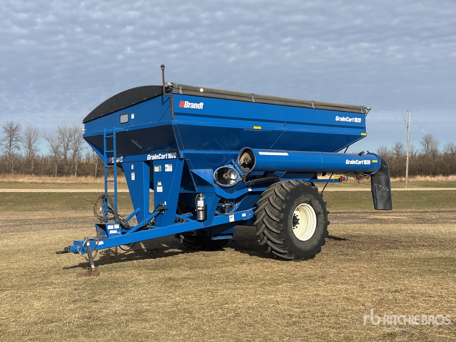 General Appearance with Foto, angolo anteriore sinistro