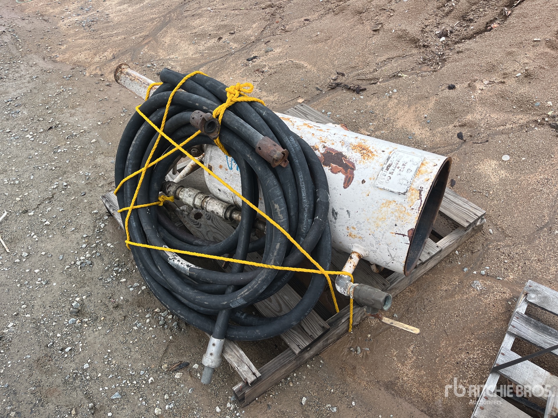 General Appearance with Zdjęcie, lewy górny róg