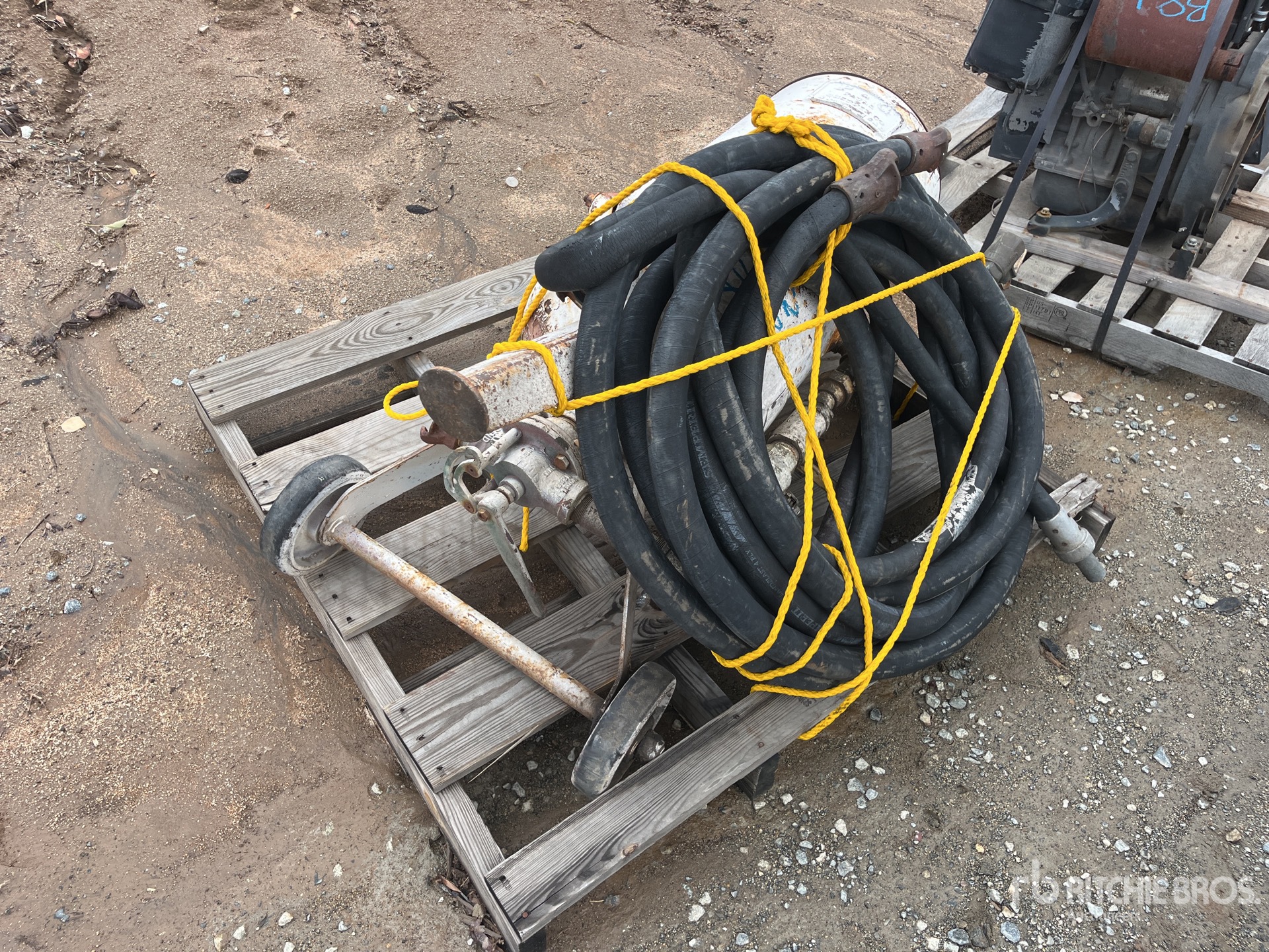 General Appearance with Zdjęcie, prawy górny róg