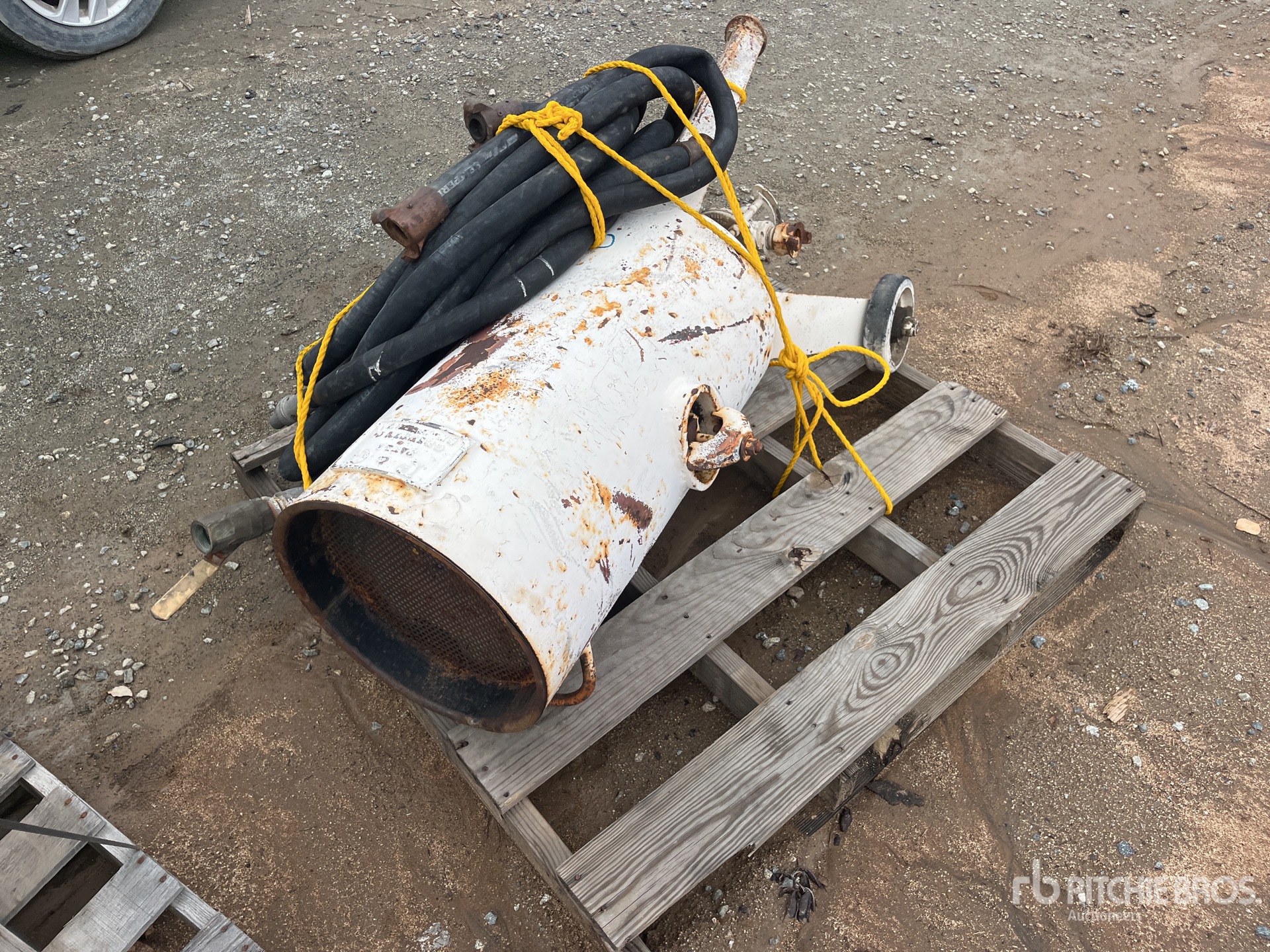 General Appearance with Zdjęcie, lewy dolny róg