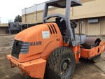General Appearance with Paint