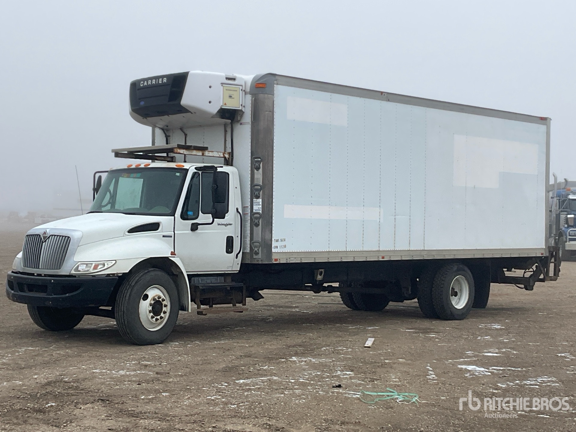 General Appearance with Spin