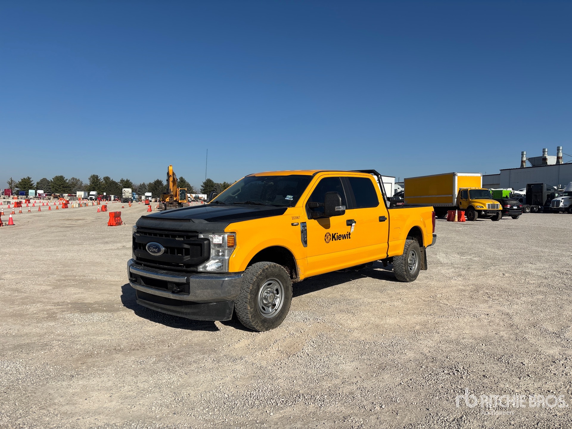 General Appearance with Spin