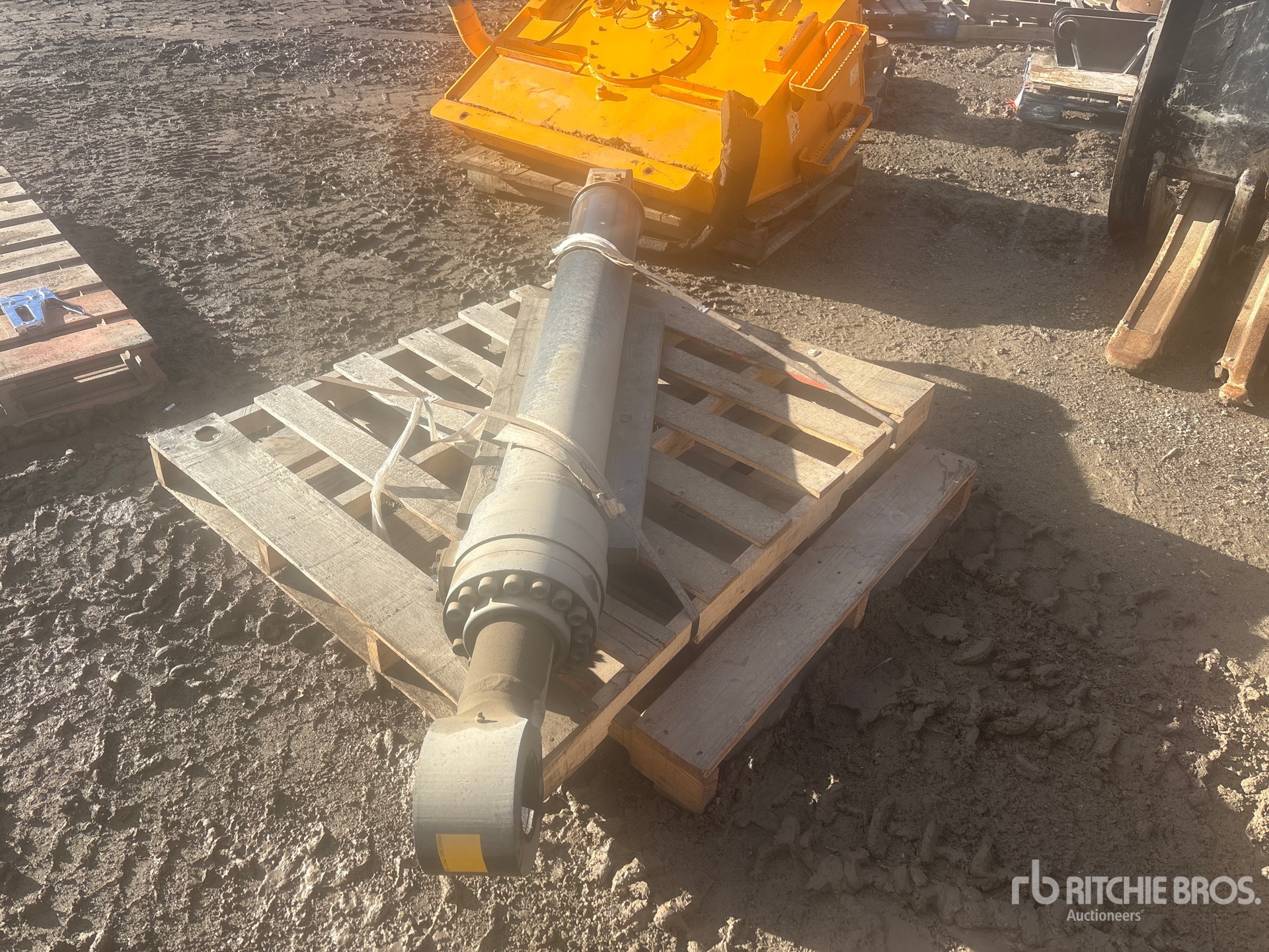 General Appearance with Bild, Ecke hinten links