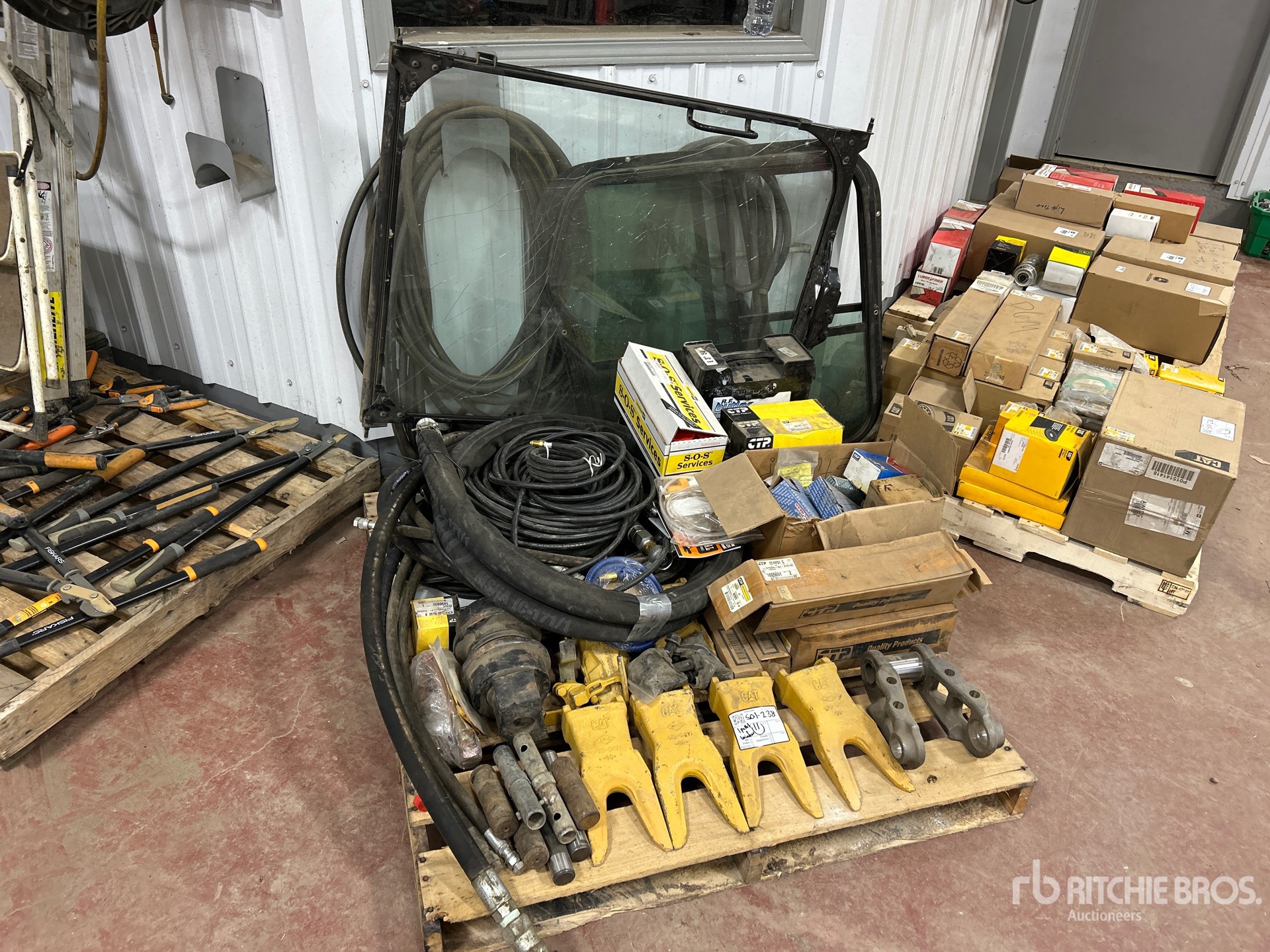 General Appearance with 