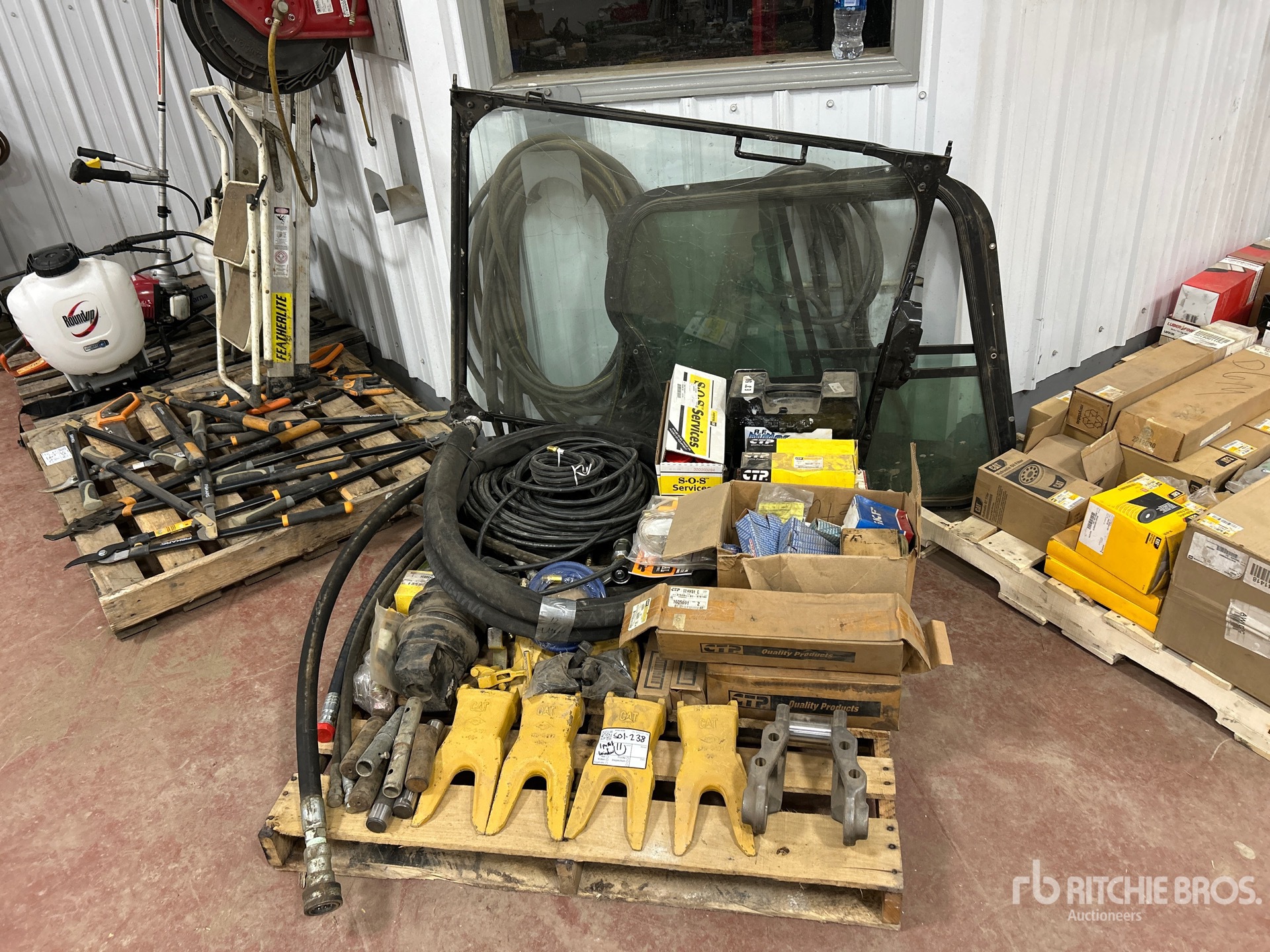 General Appearance with 