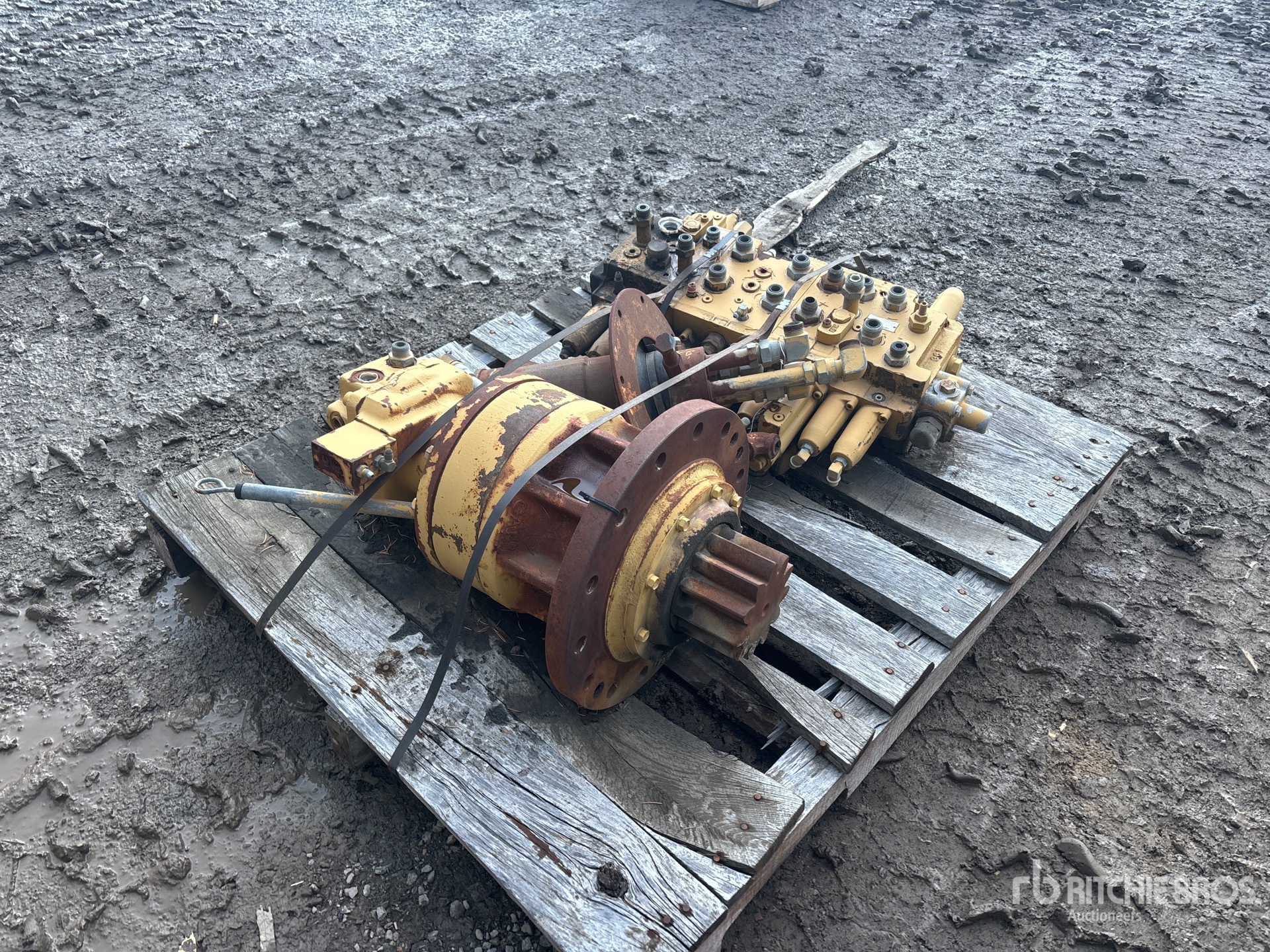 General Appearance with Foto, angolo anteriore sinistro