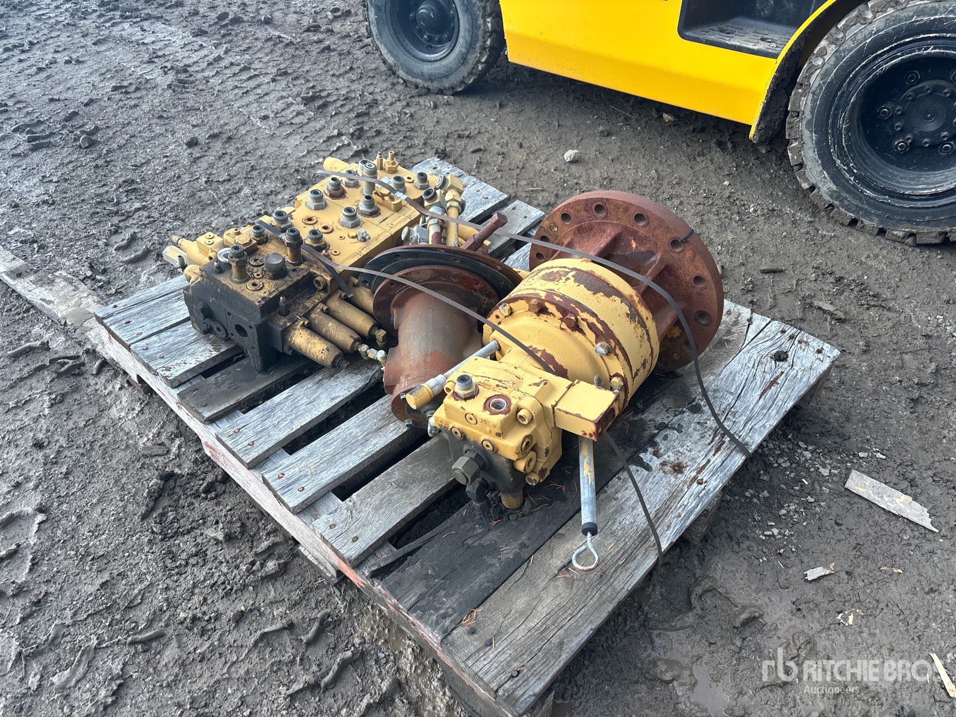 General Appearance with Foto, angolo posteriore sinistro