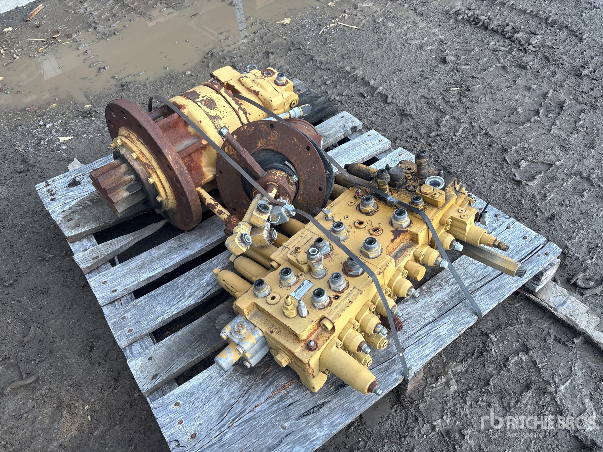 General Appearance with Foto, angolo anteriore destro