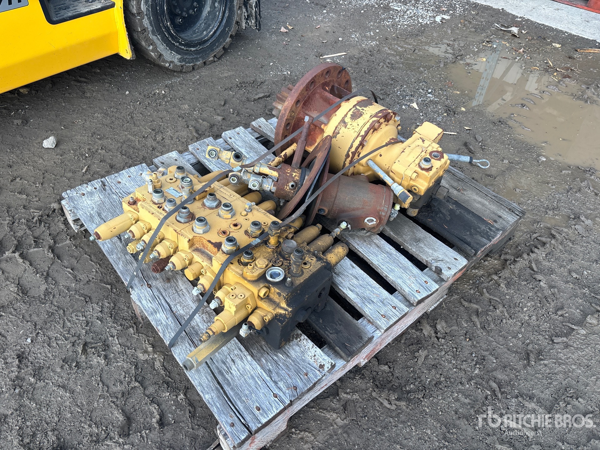 General Appearance with Foto, angolo anteriore sinistro