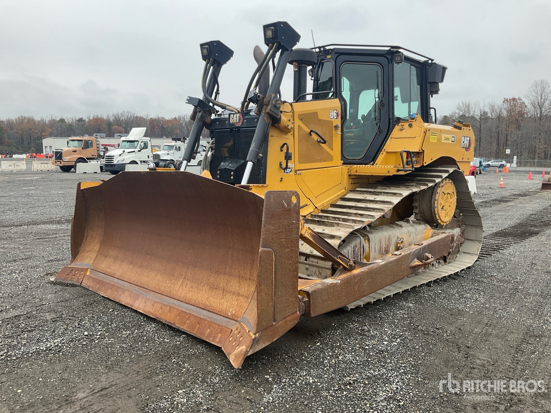 General Appearance with Spin