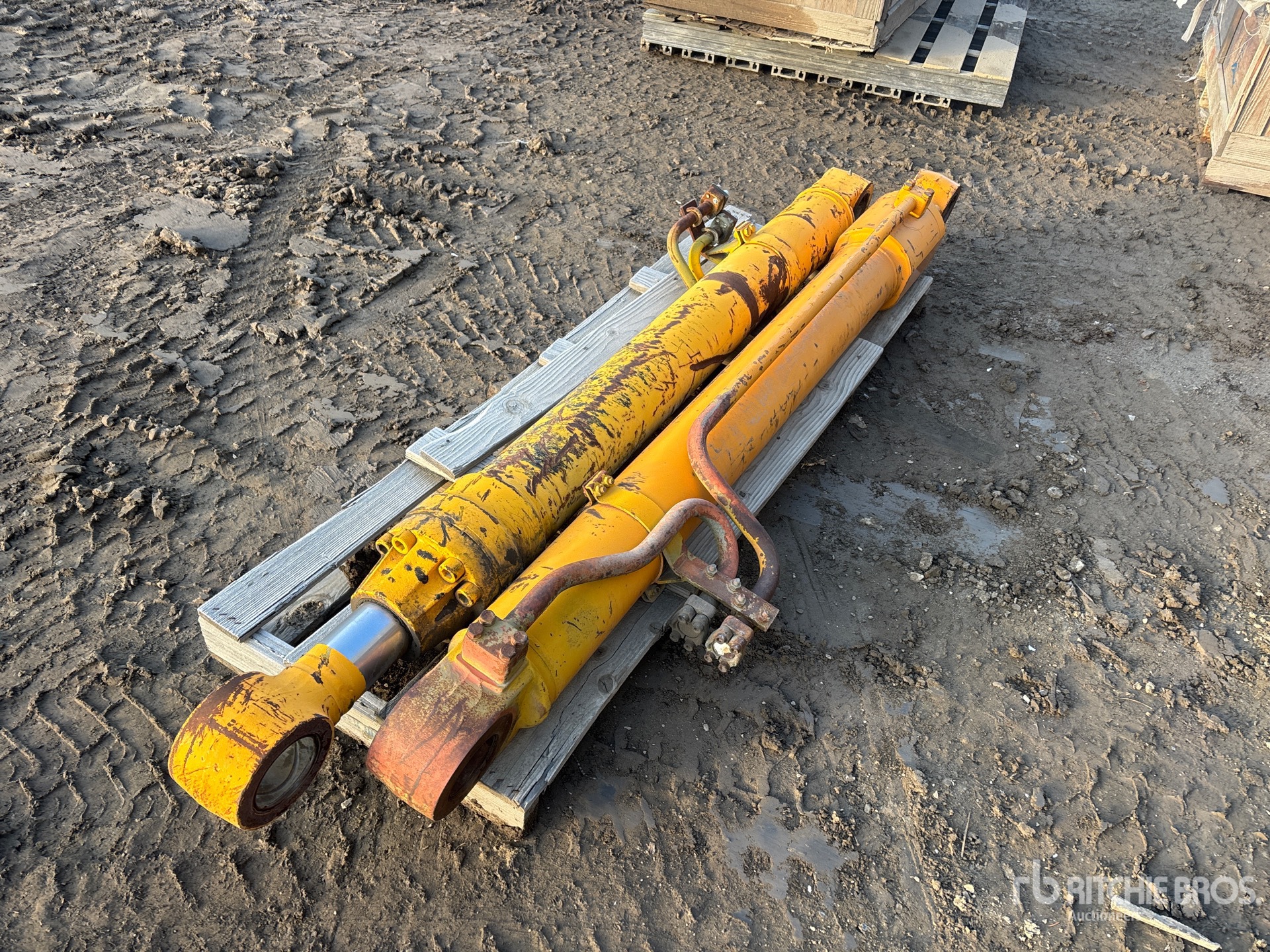 General Appearance with Bild, Ecke hinten links