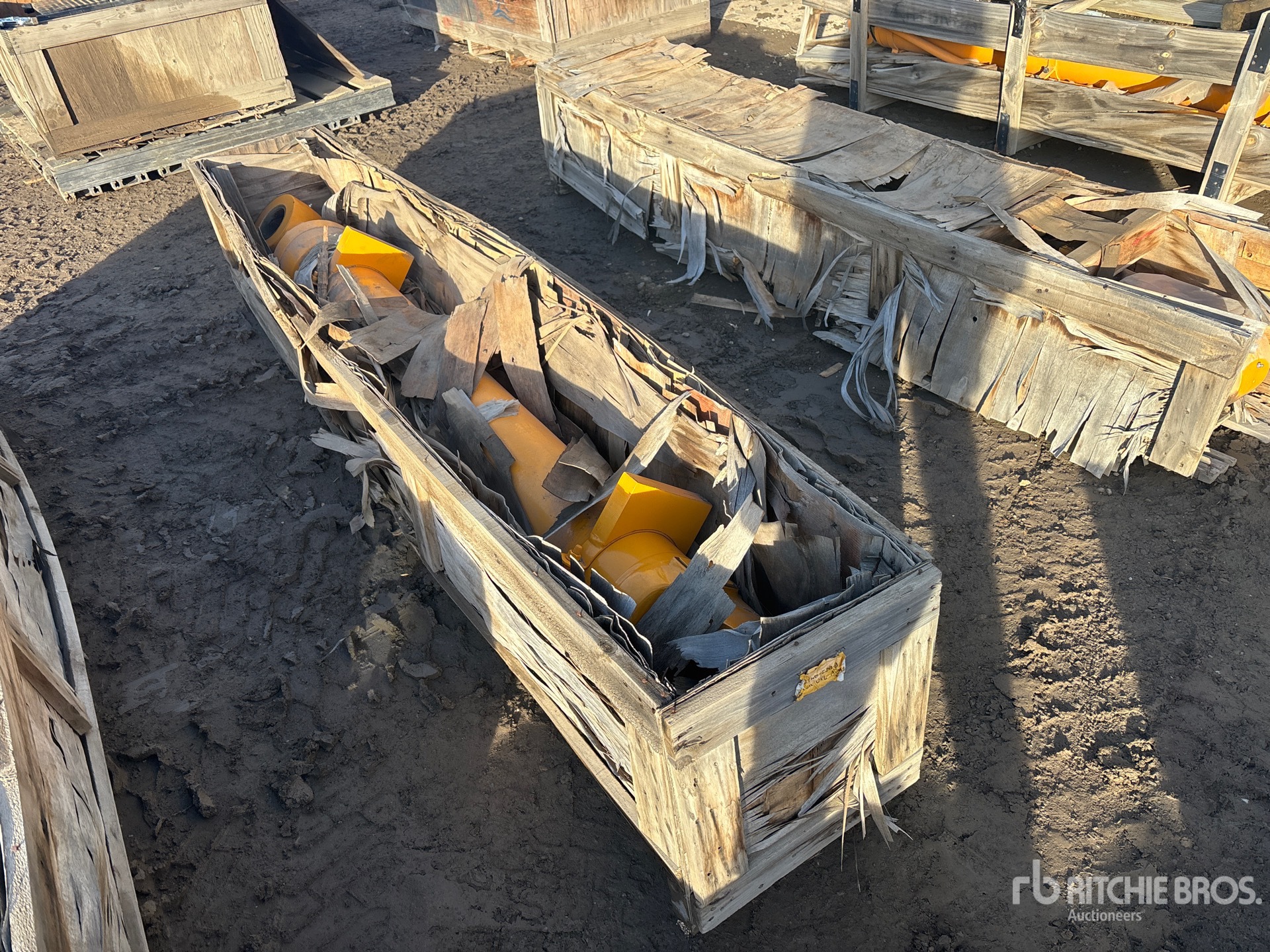 General Appearance with Bild, Ecke vorne links