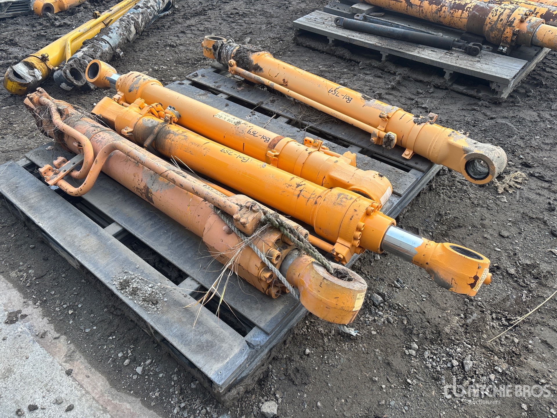 General Appearance with Foto, angolo anteriore sinistro