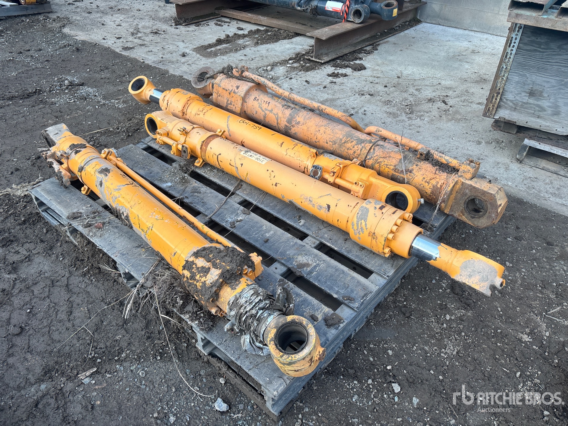 General Appearance with Foto, angolo anteriore sinistro