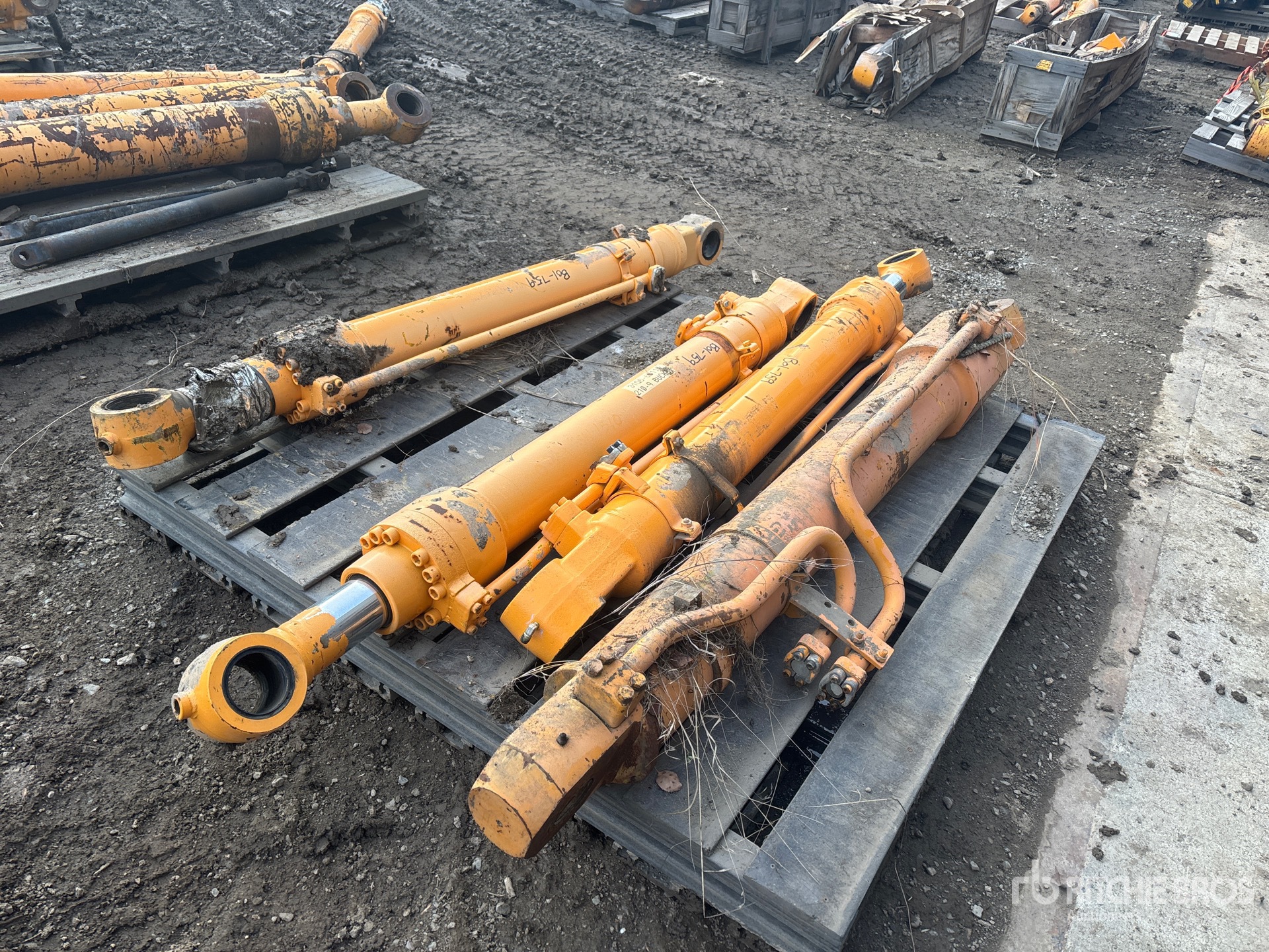 General Appearance with Foto, angolo posteriore sinistro