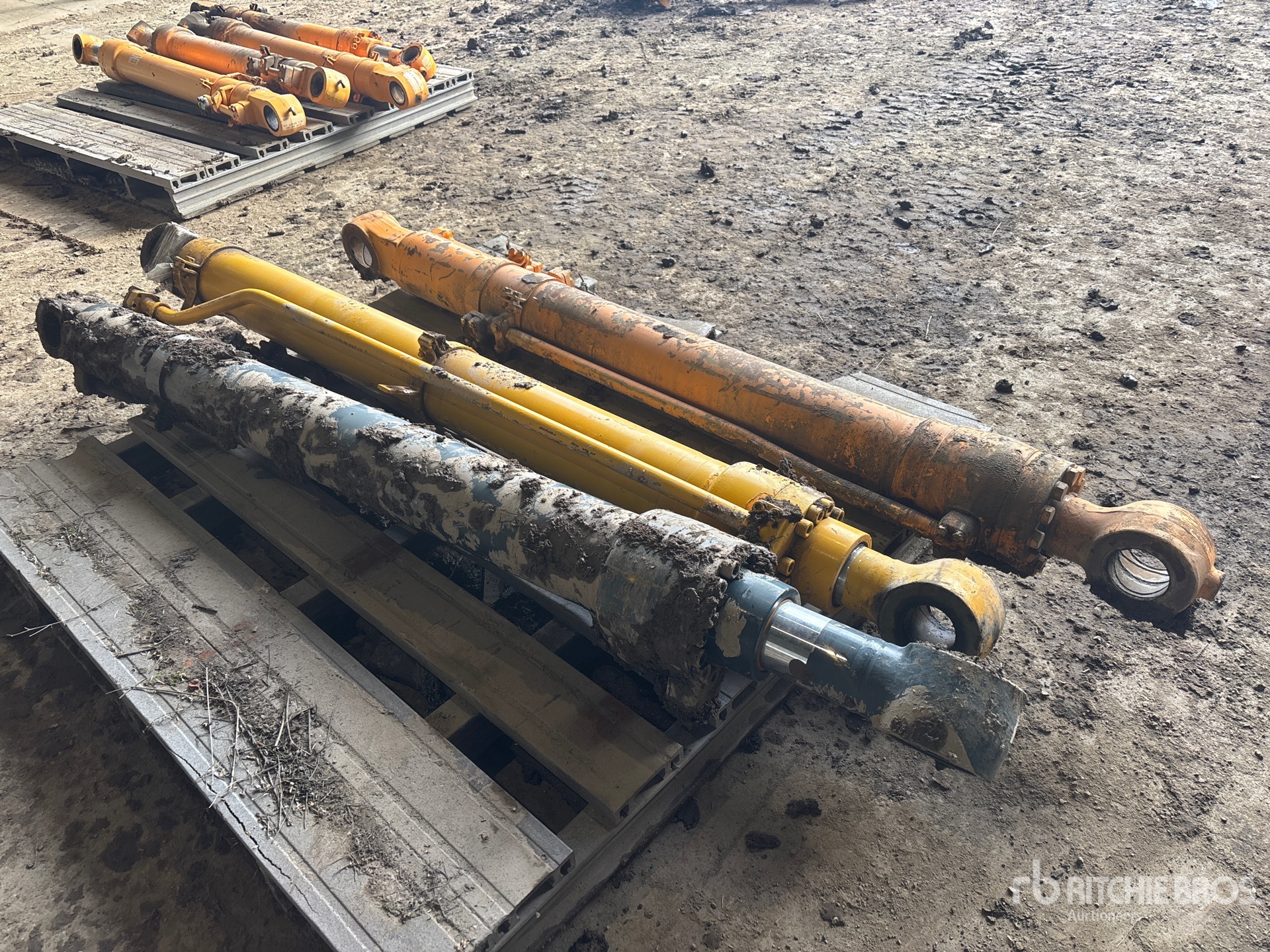 General Appearance with Foto, angolo anteriore sinistro