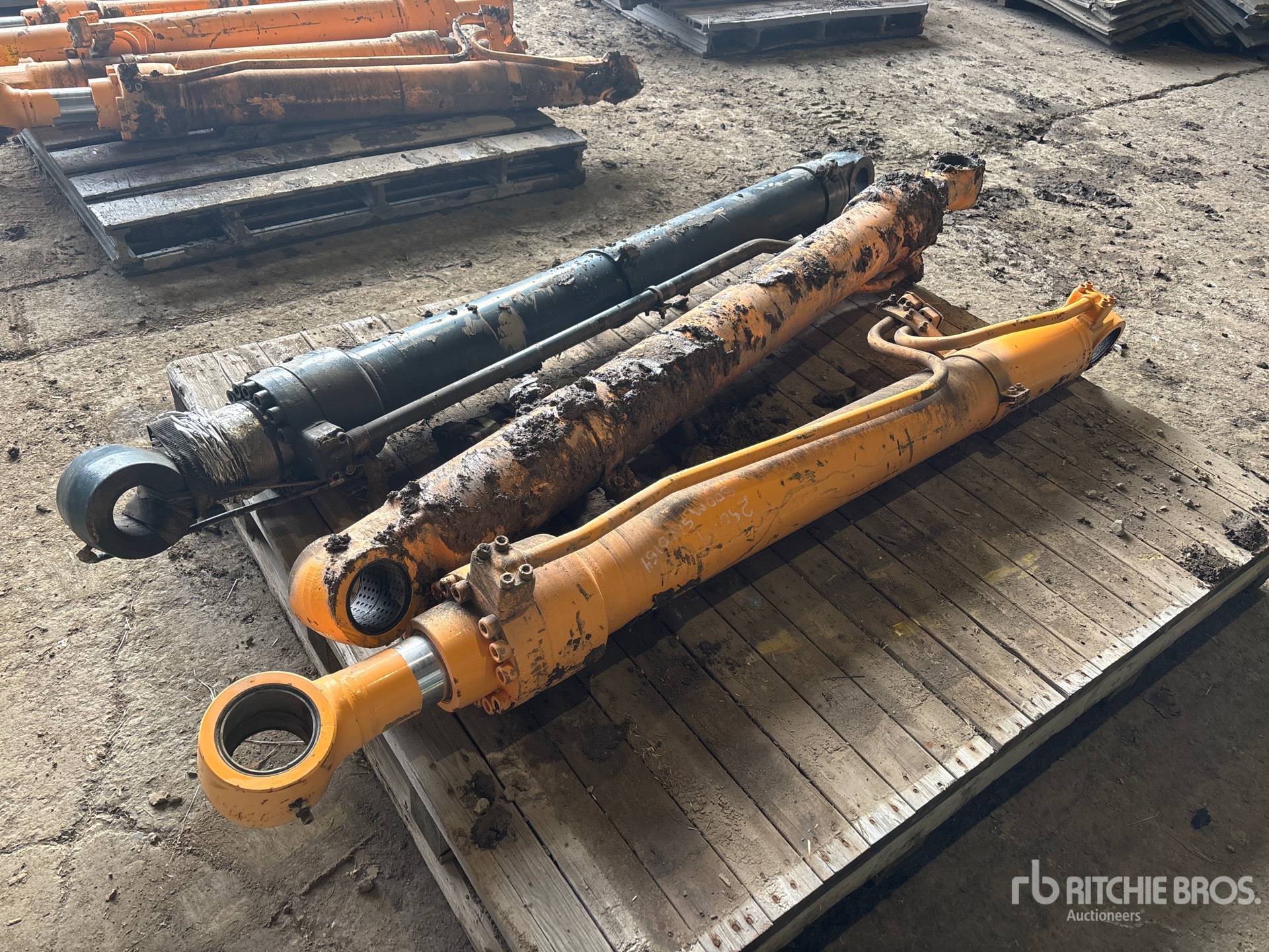 General Appearance with Foto, angolo posteriore sinistro