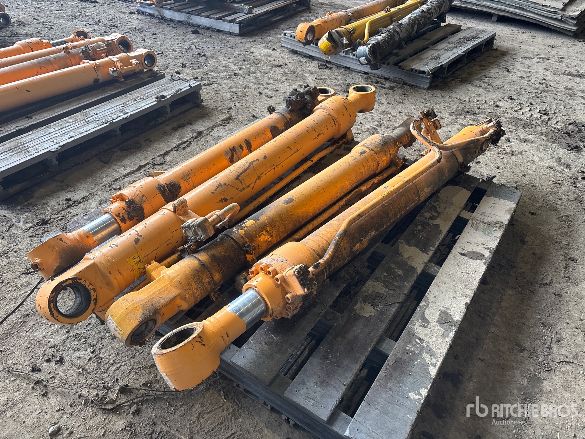 General Appearance with Foto, angolo posteriore sinistro