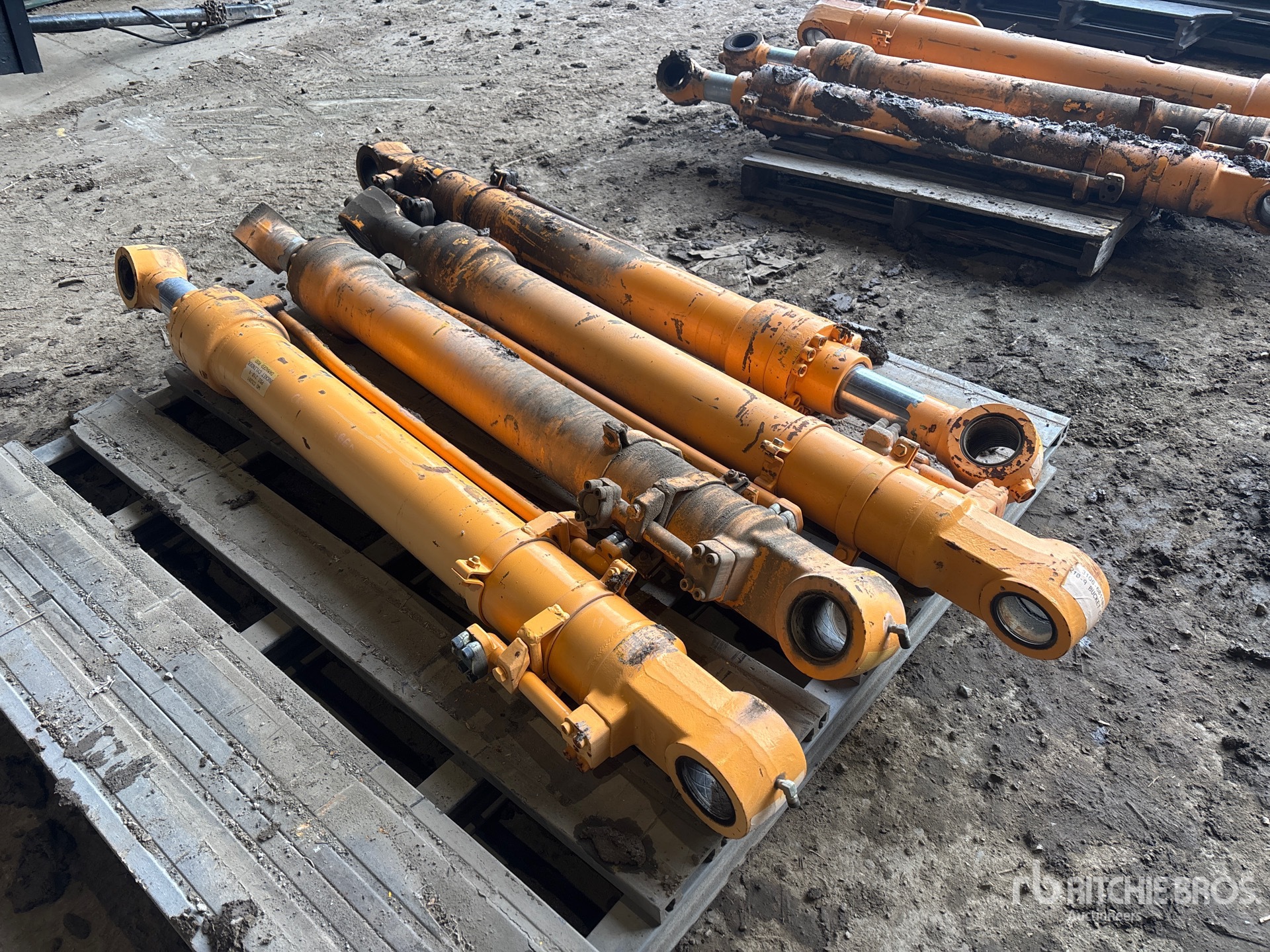 General Appearance with Foto, angolo anteriore sinistro