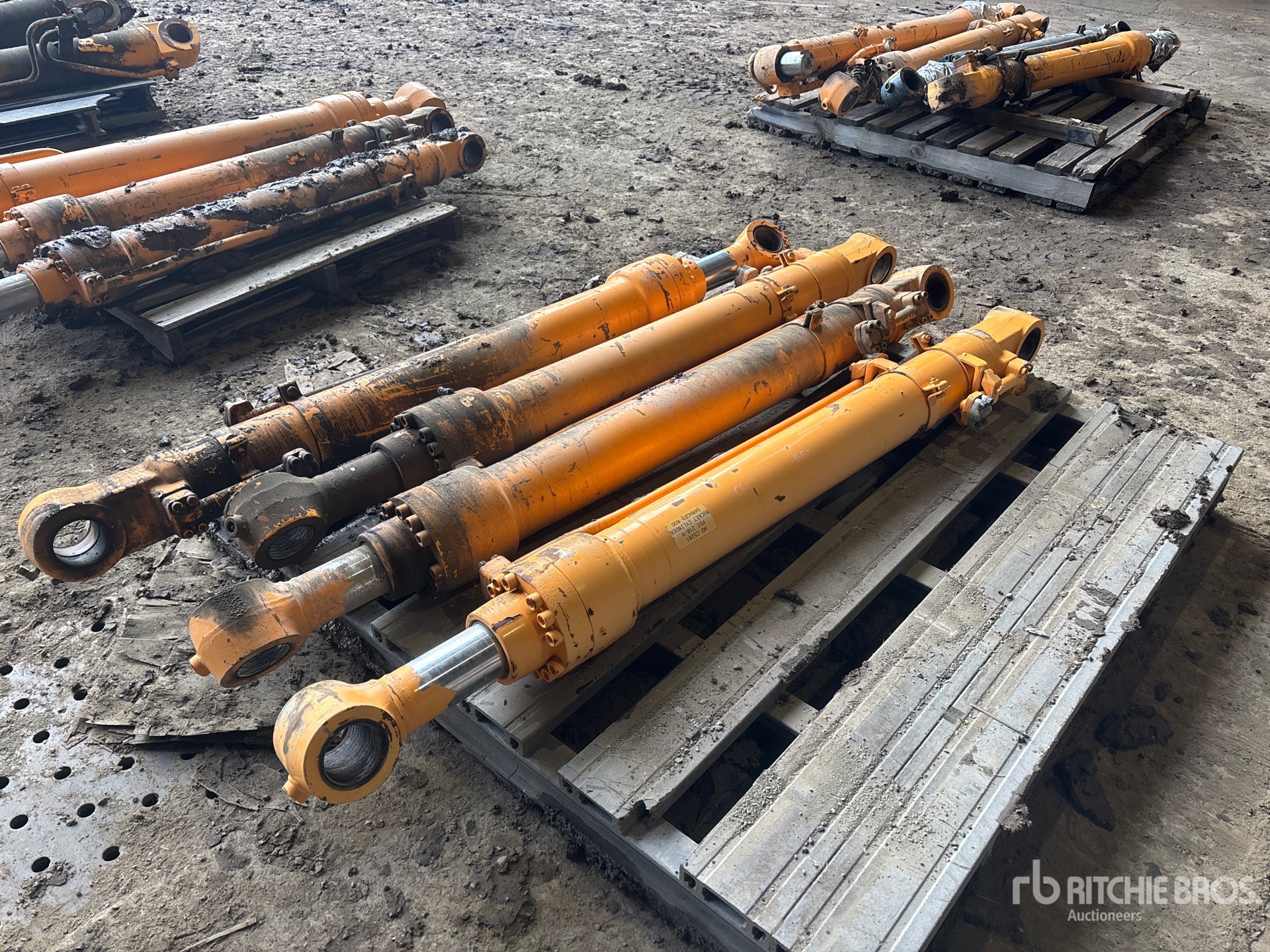 General Appearance with Foto, angolo posteriore sinistro