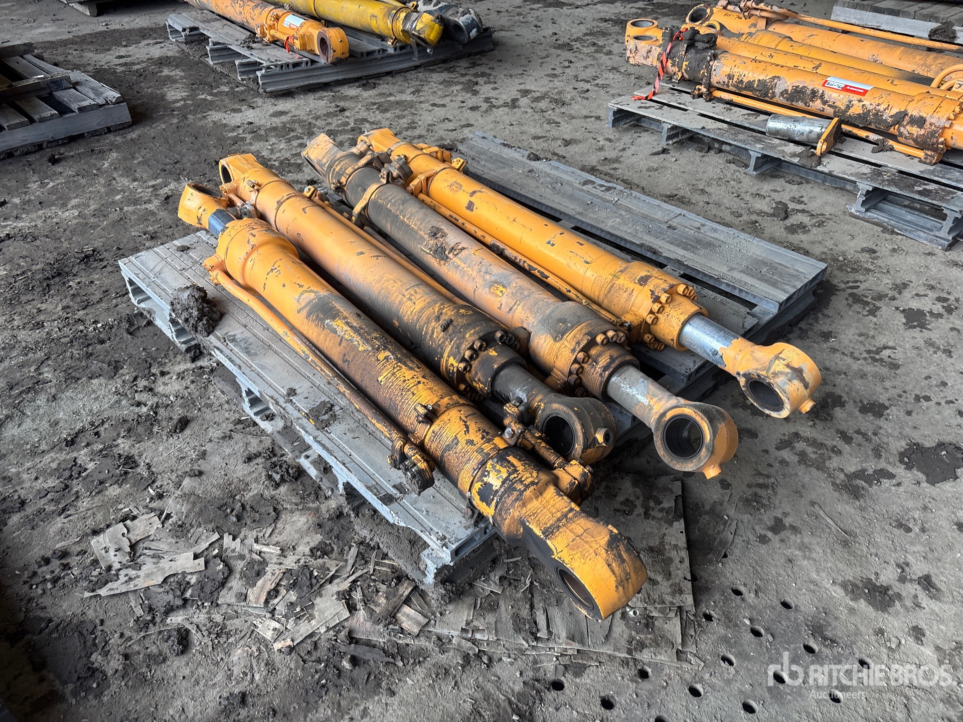 General Appearance with Foto, angolo anteriore sinistro