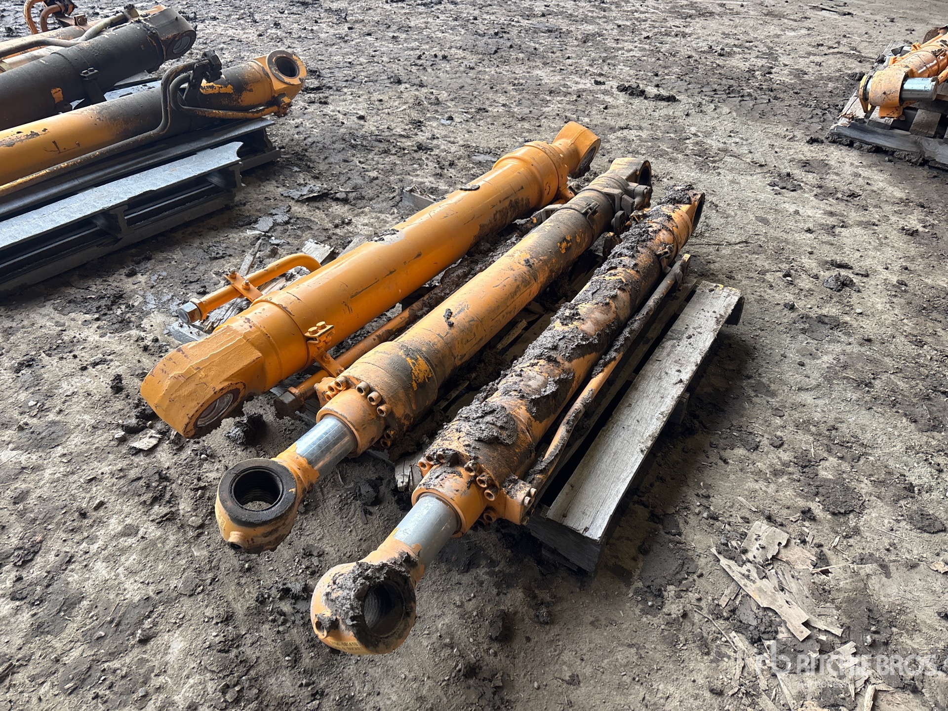 General Appearance with Foto, angolo posteriore sinistro