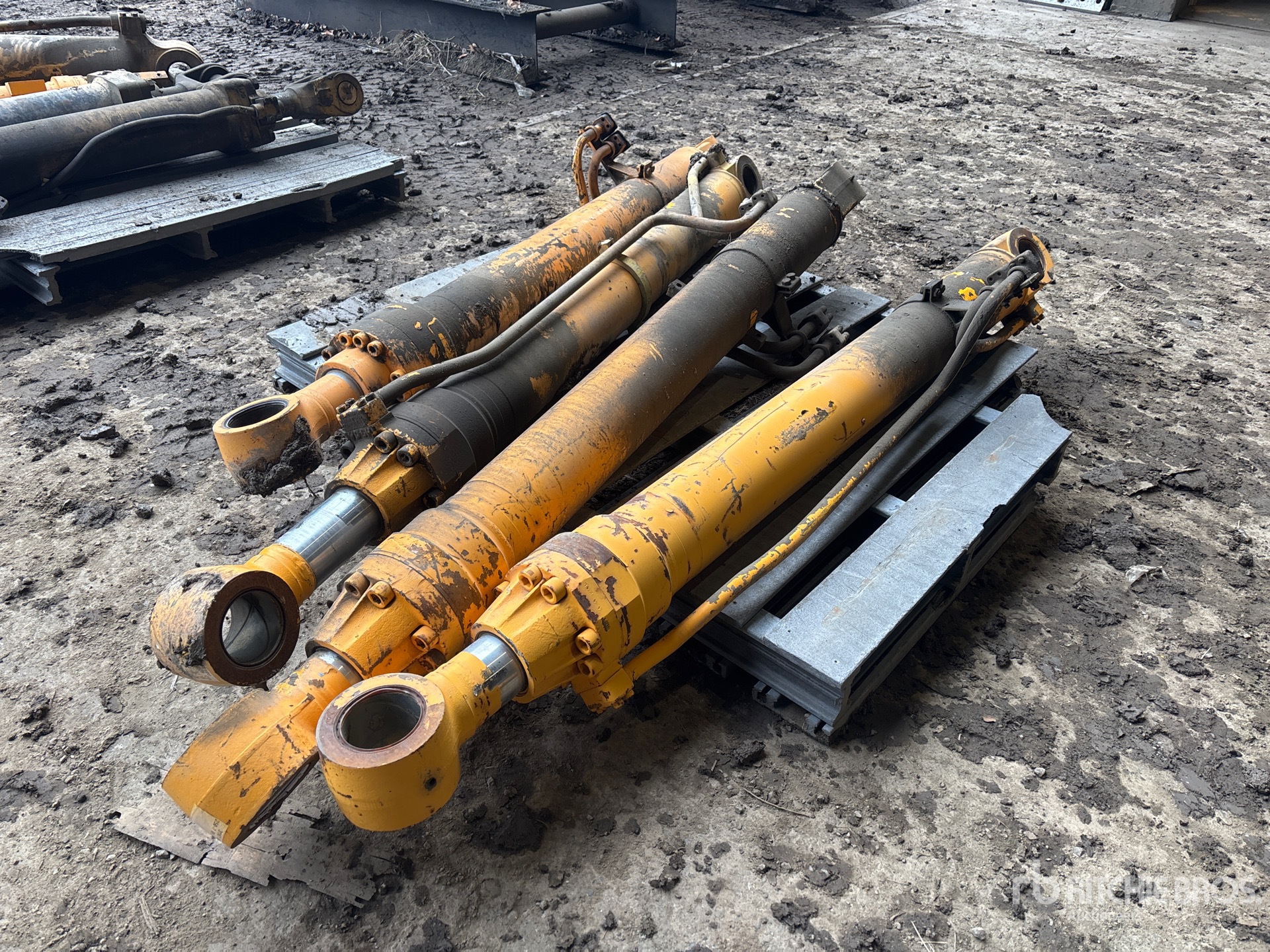 General Appearance with Foto, angolo posteriore sinistro