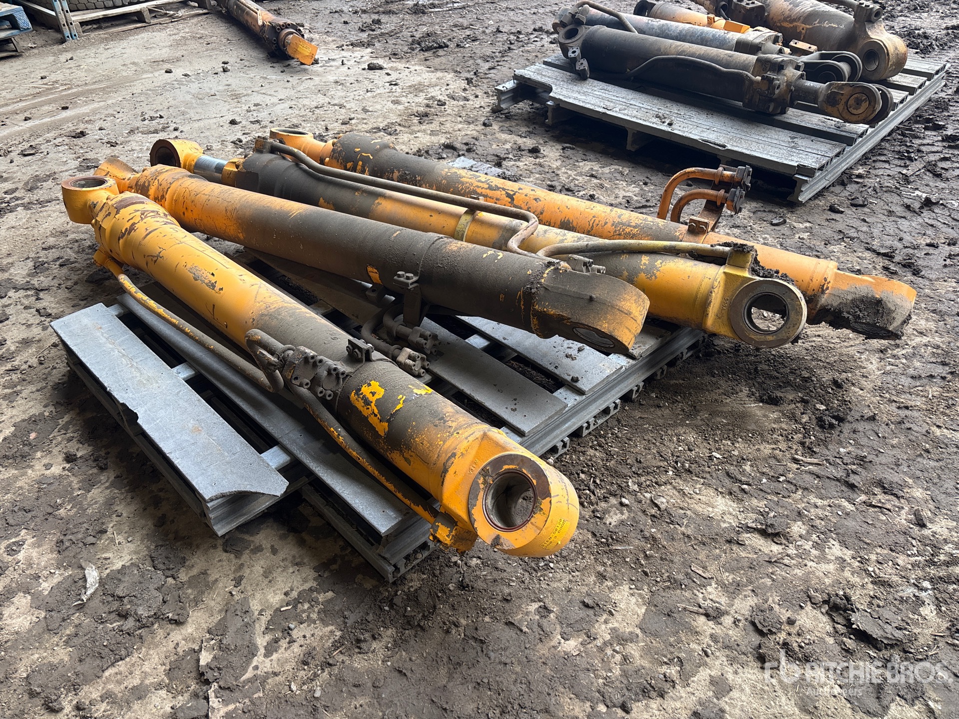 General Appearance with Foto, angolo anteriore sinistro