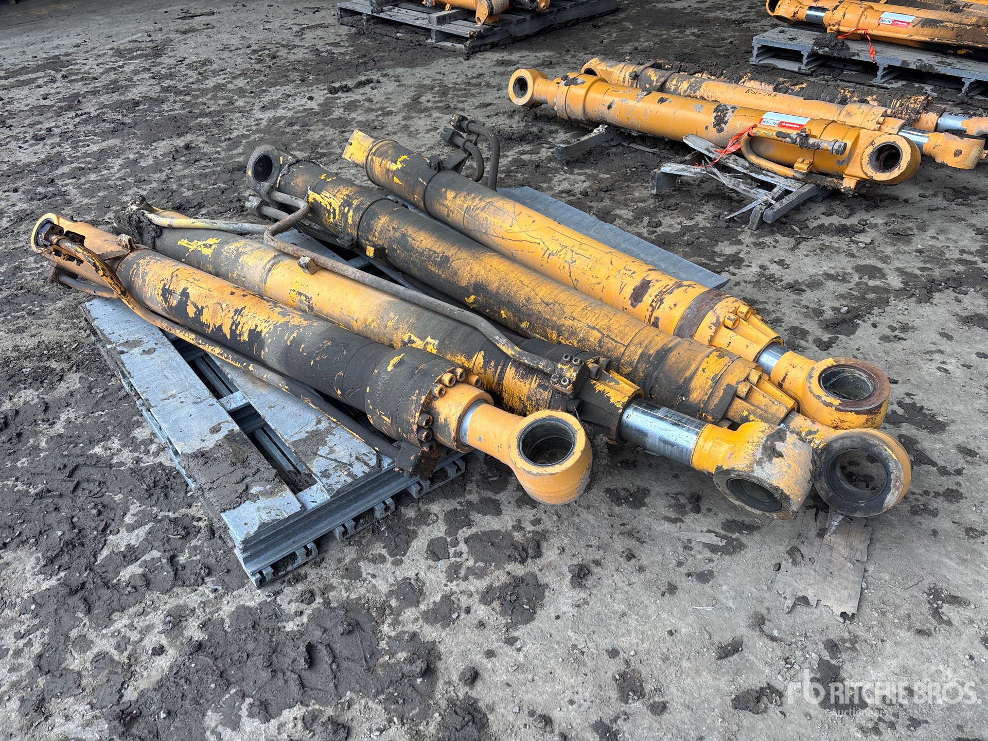 General Appearance with Foto, angolo anteriore sinistro