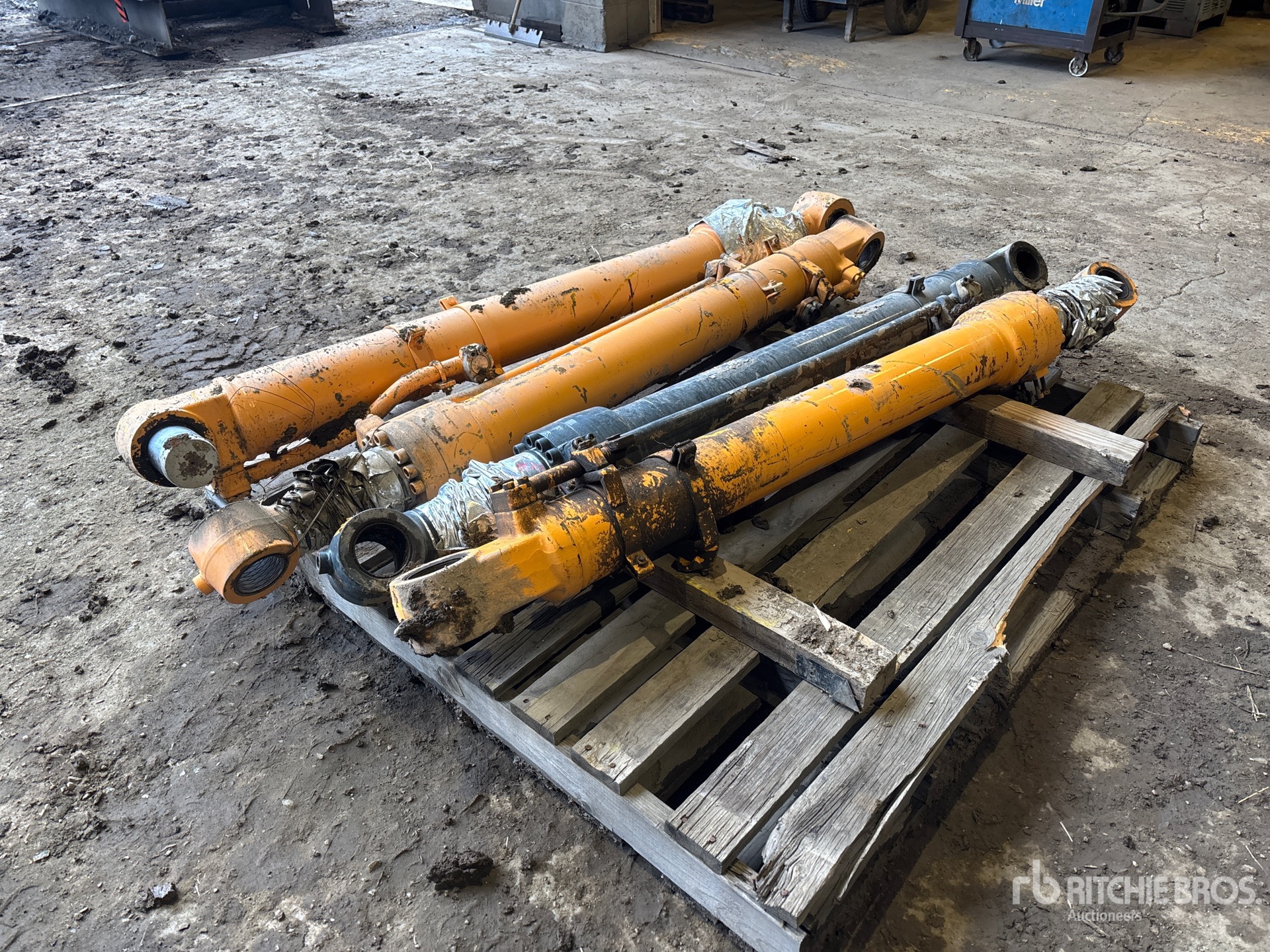 General Appearance with Bild, Ecke hinten links