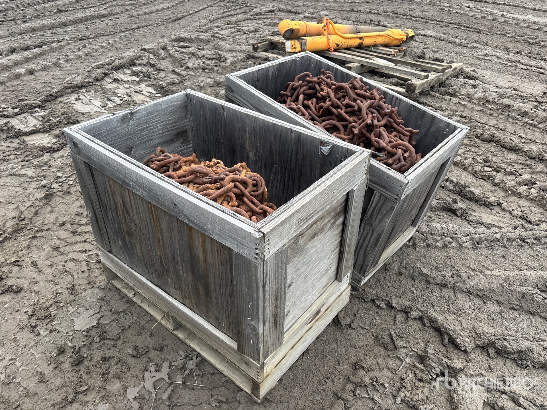 General Appearance with Foto, angolo anteriore sinistro