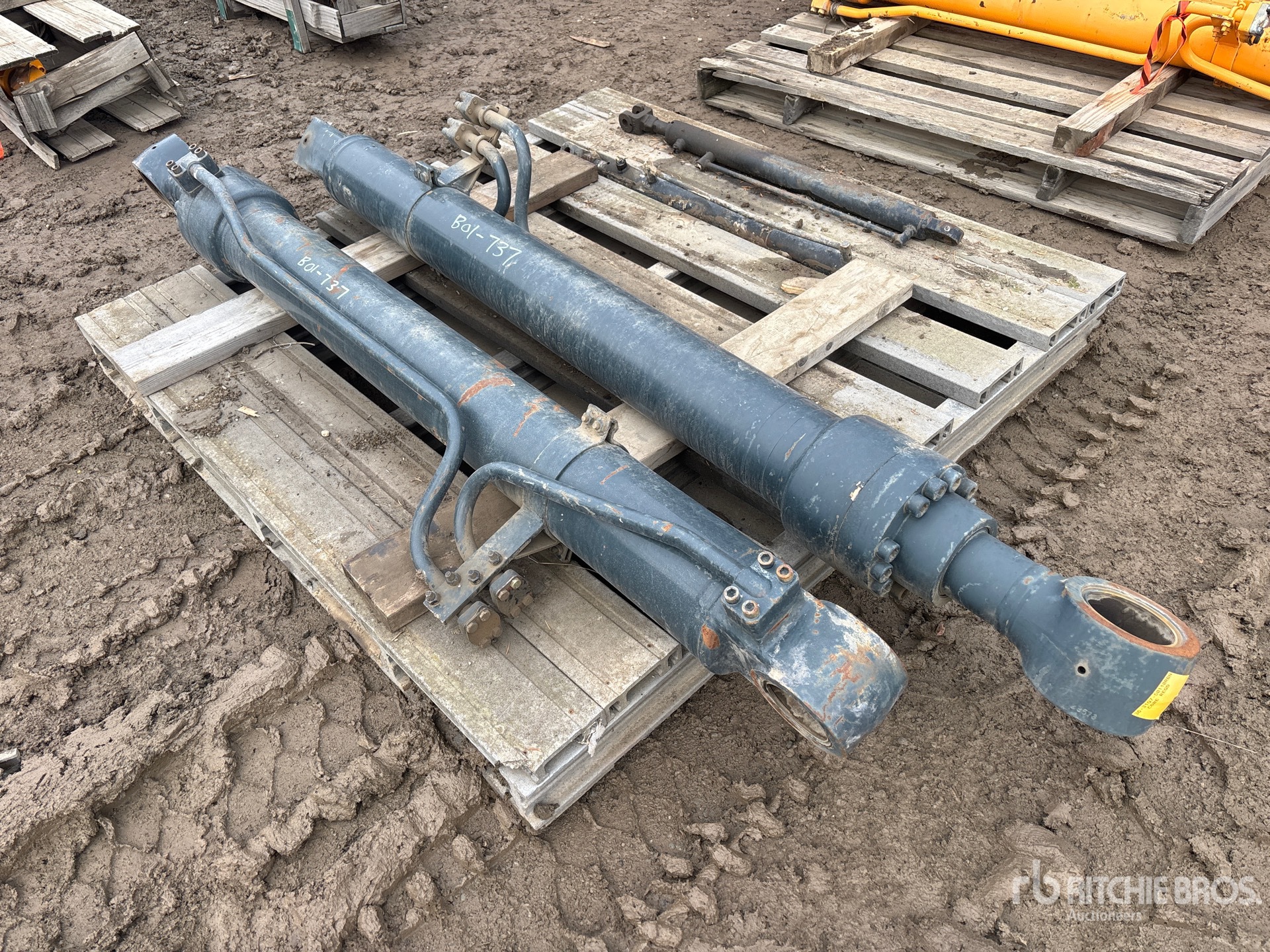 General Appearance with Bild, Ecke vorne links