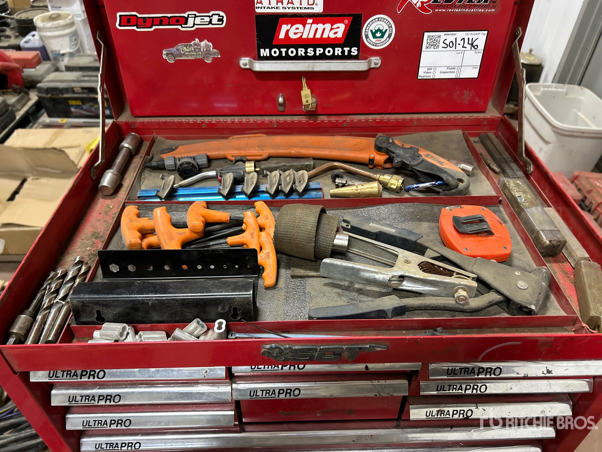 General Appearance with 