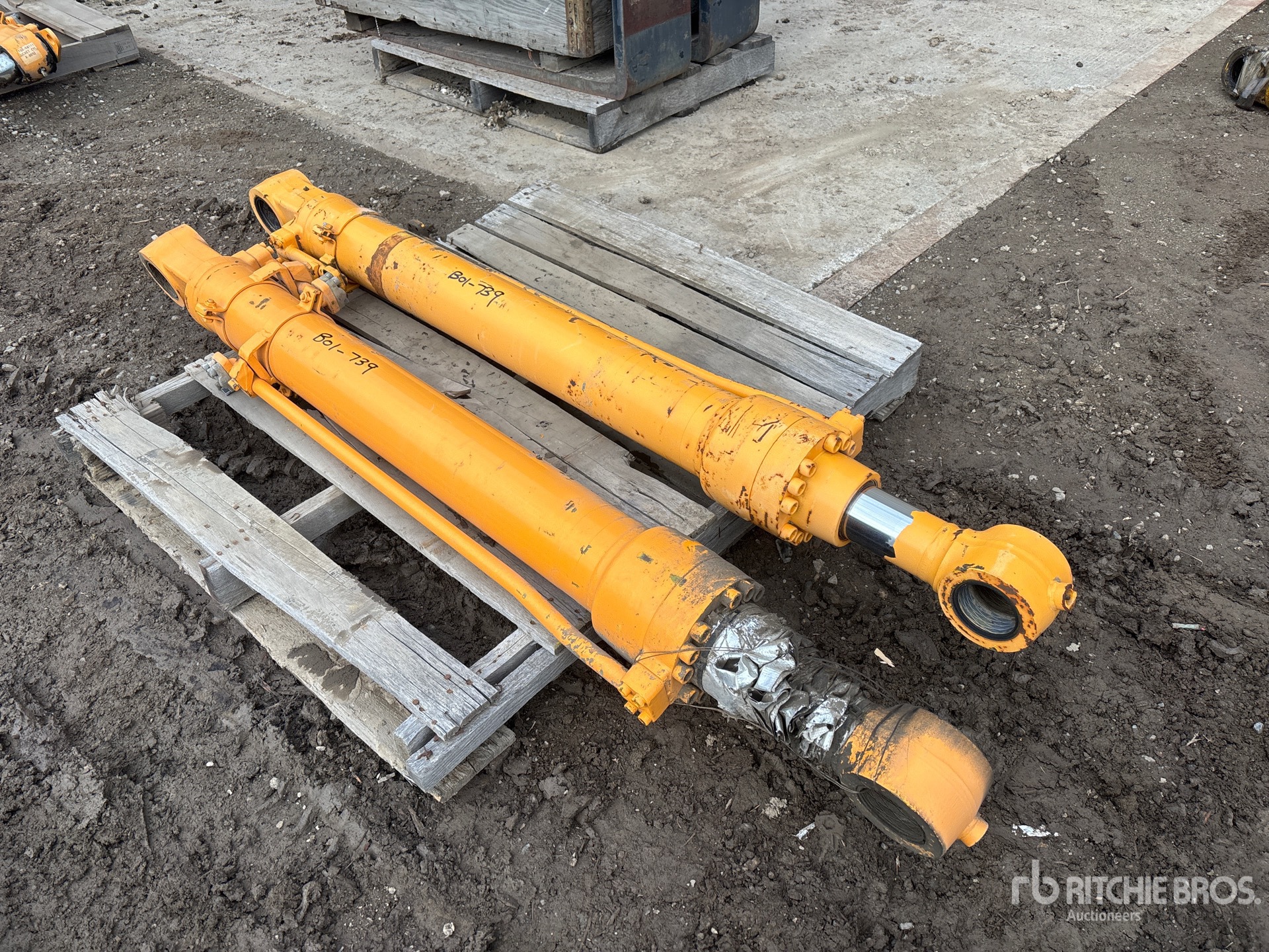 General Appearance with Bild, Ecke vorne links