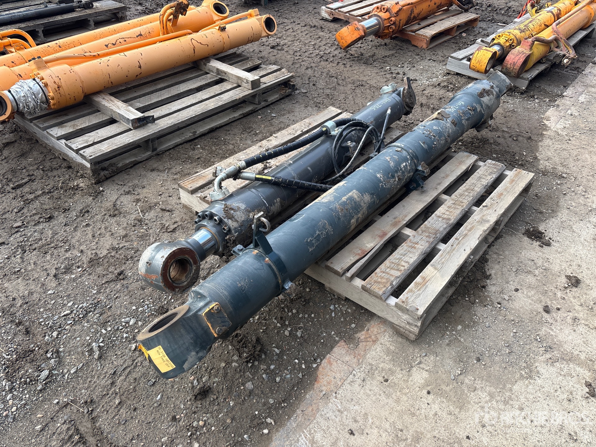 General Appearance with Bild, Ecke hinten links