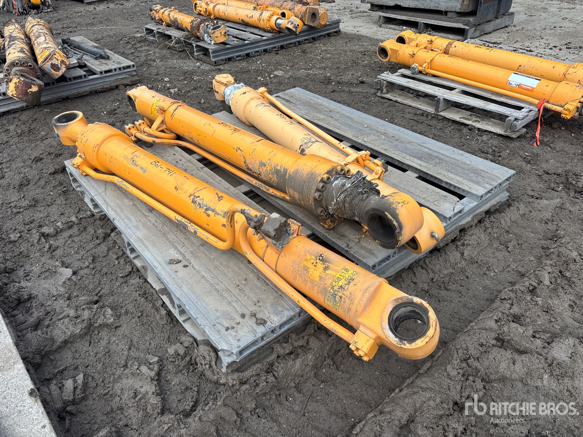 General Appearance with Foto, angolo anteriore sinistro