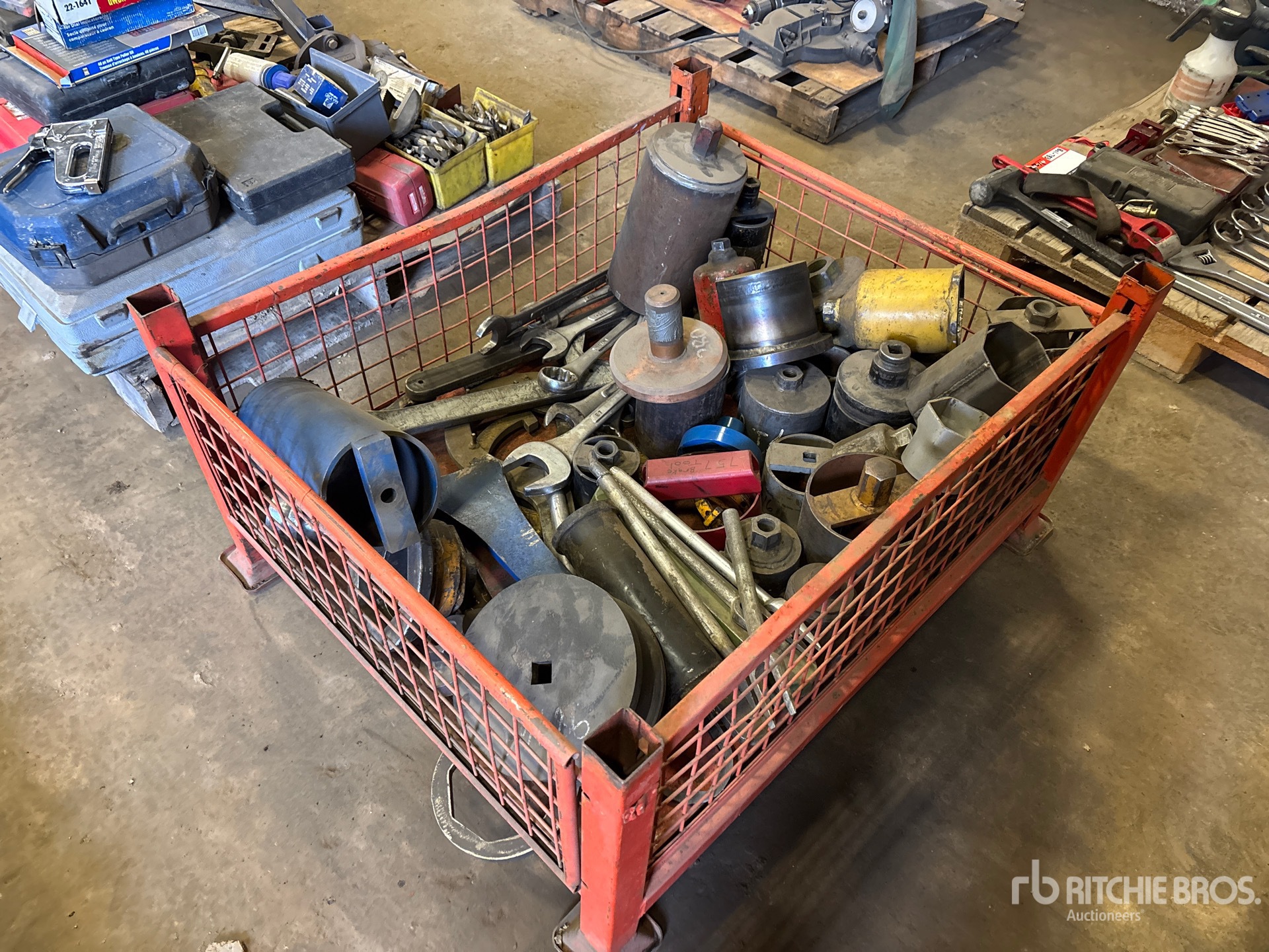 General Appearance with Bild, Ecke hinten links