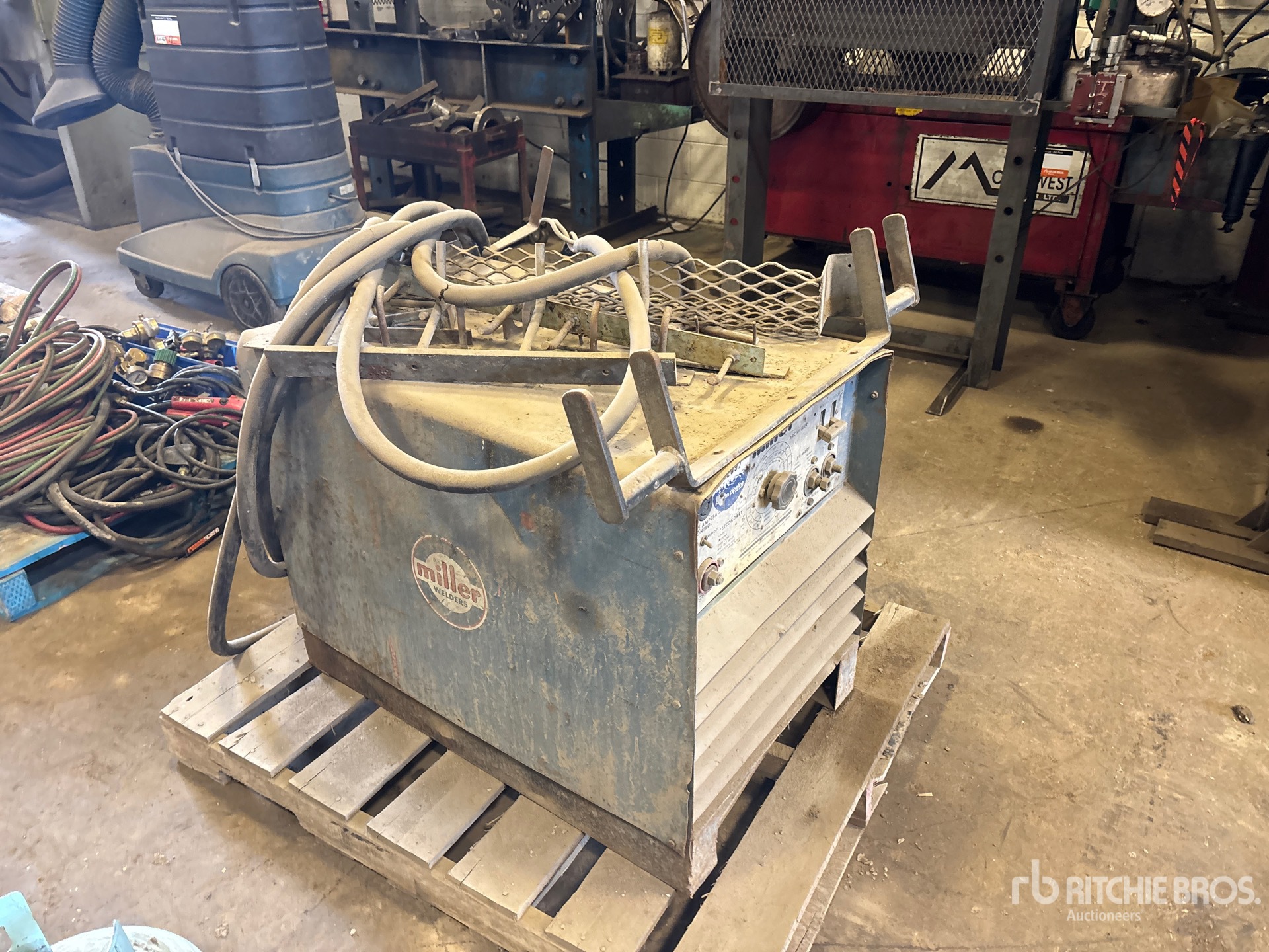 General Appearance with Bild, Ecke vorne rechts