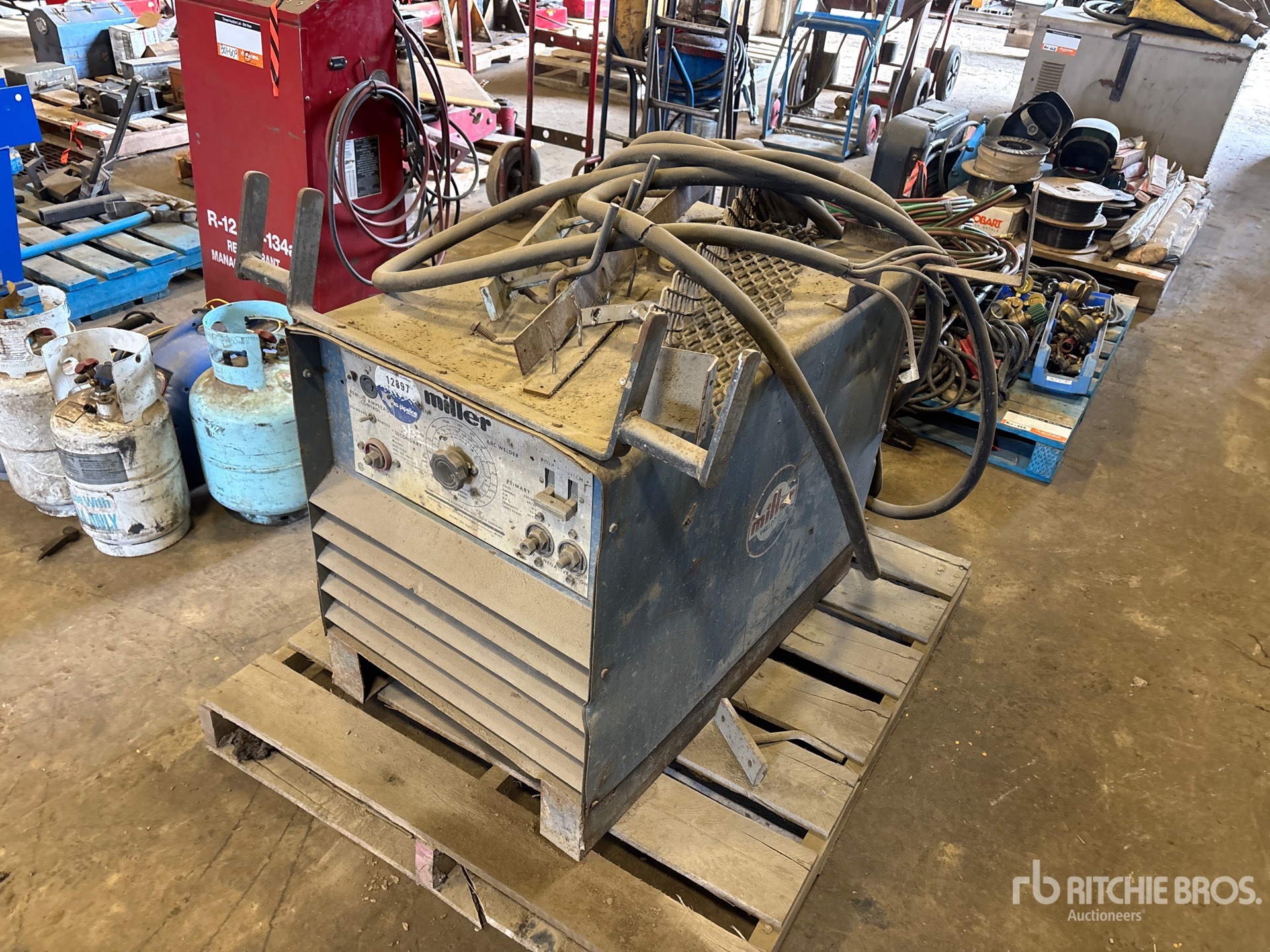 General Appearance with Bild, Ecke vorne links