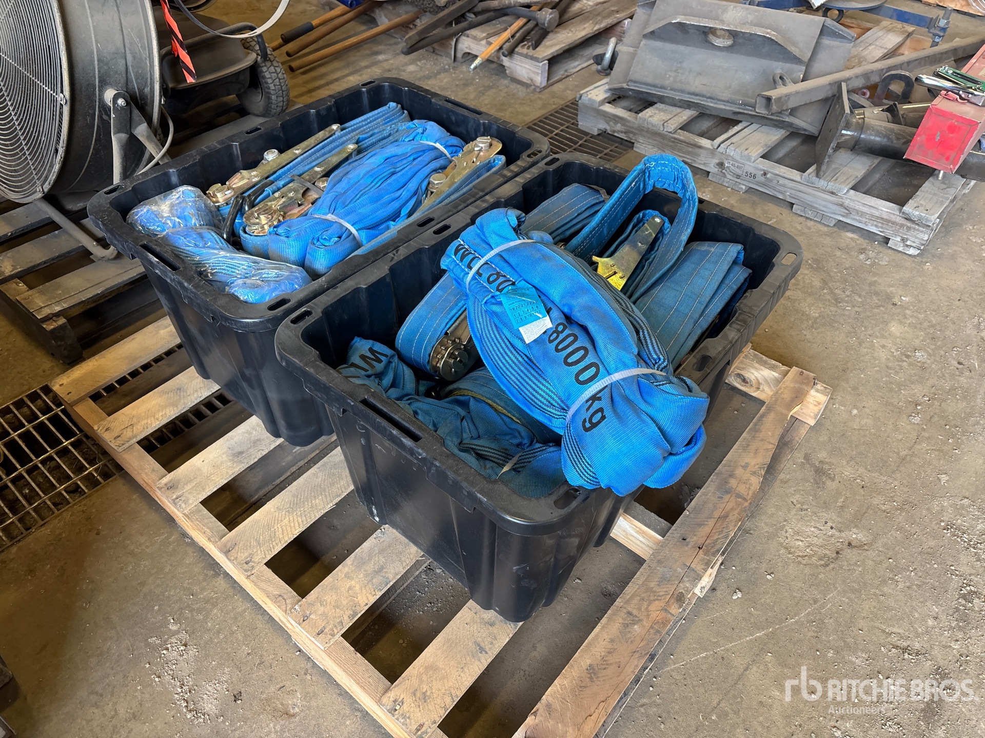 General Appearance with Foto, angolo anteriore destro