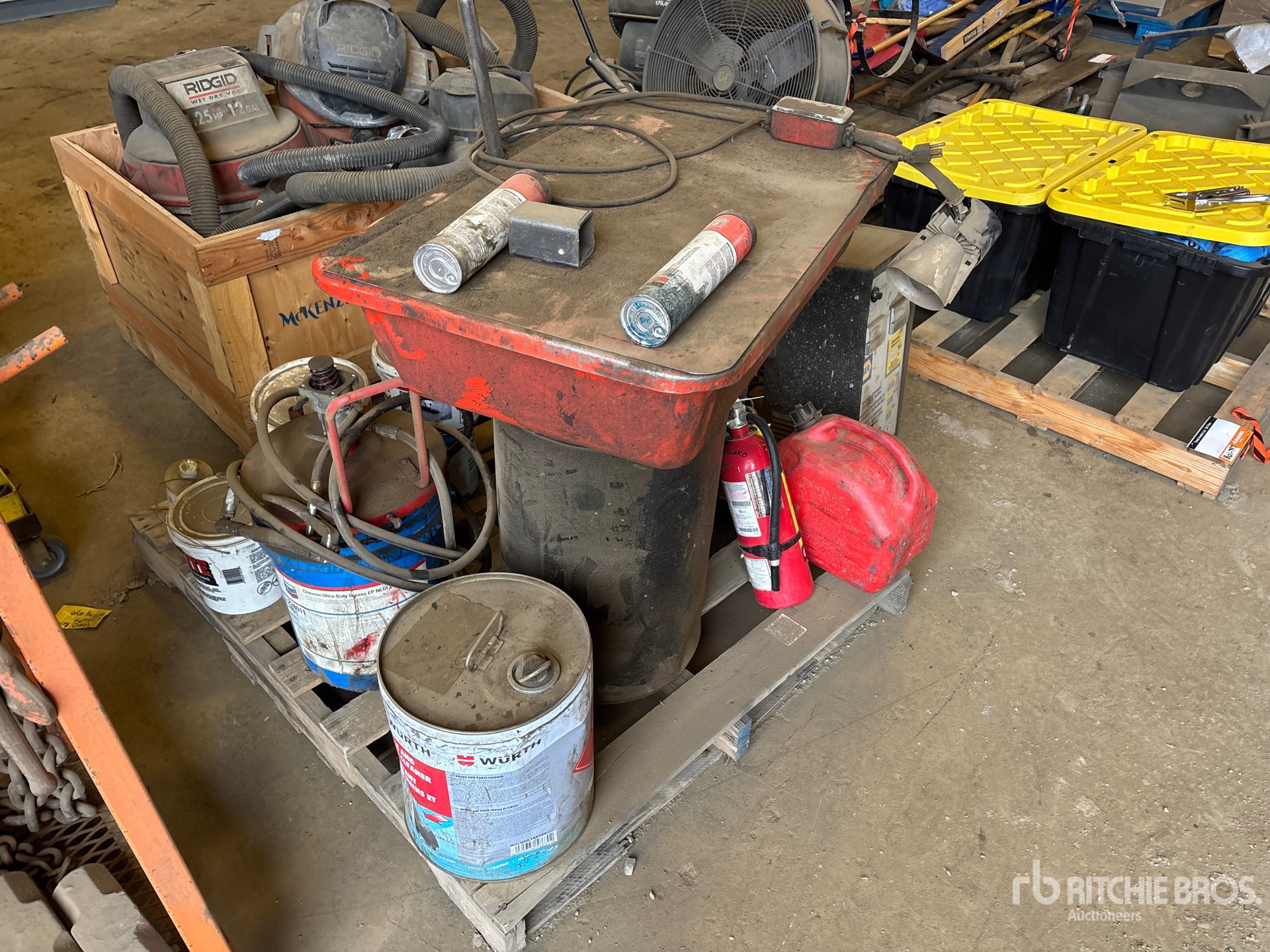 General Appearance with