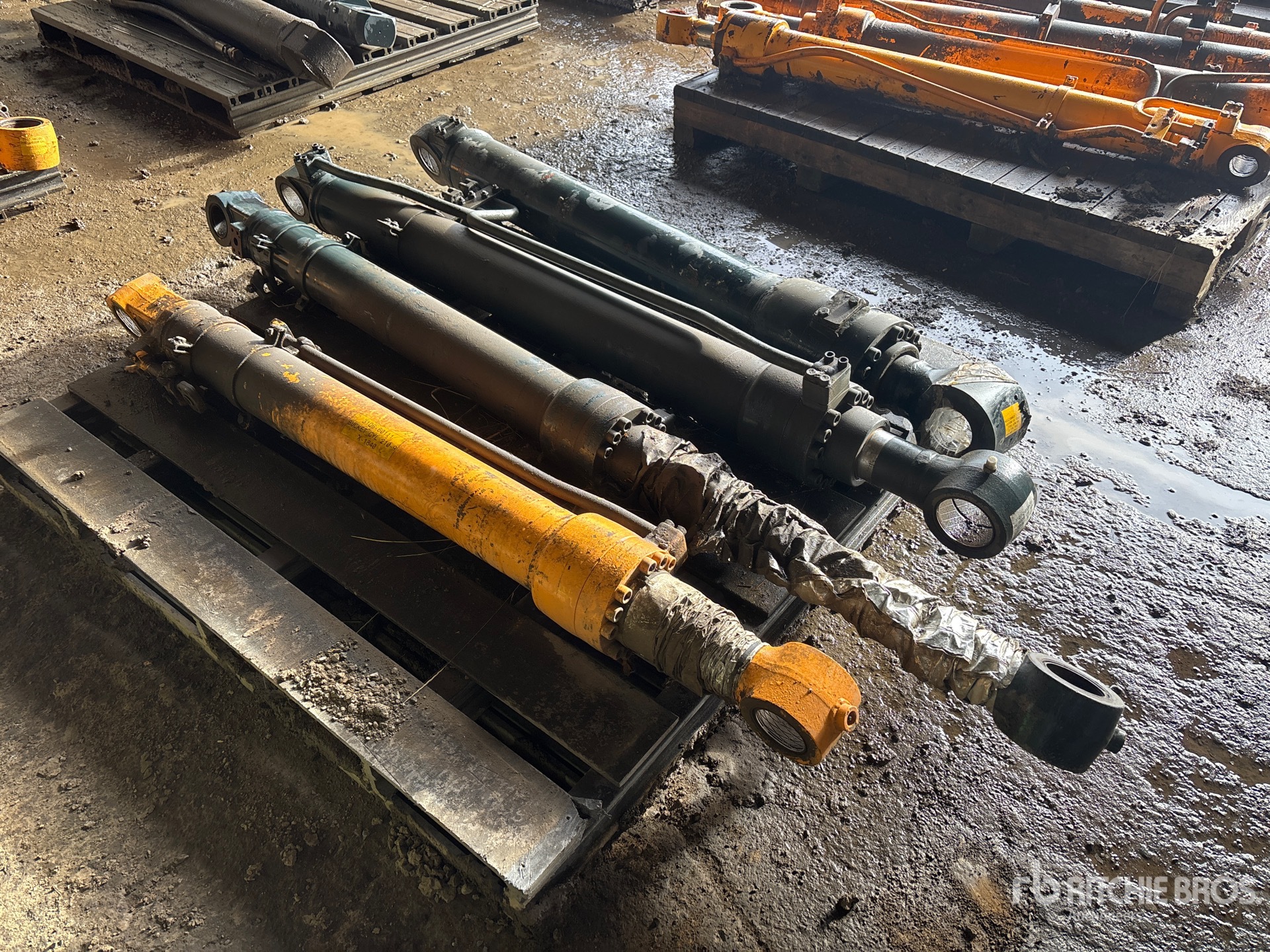 General Appearance with Bild, Ecke vorne links